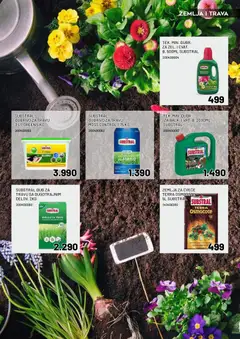 Crafter katalog Radovi u bašti - pregled Crafter kataloga - važi od 20.03.2026 | Strana: 14 | Proizvode: Zemlja, Cvece