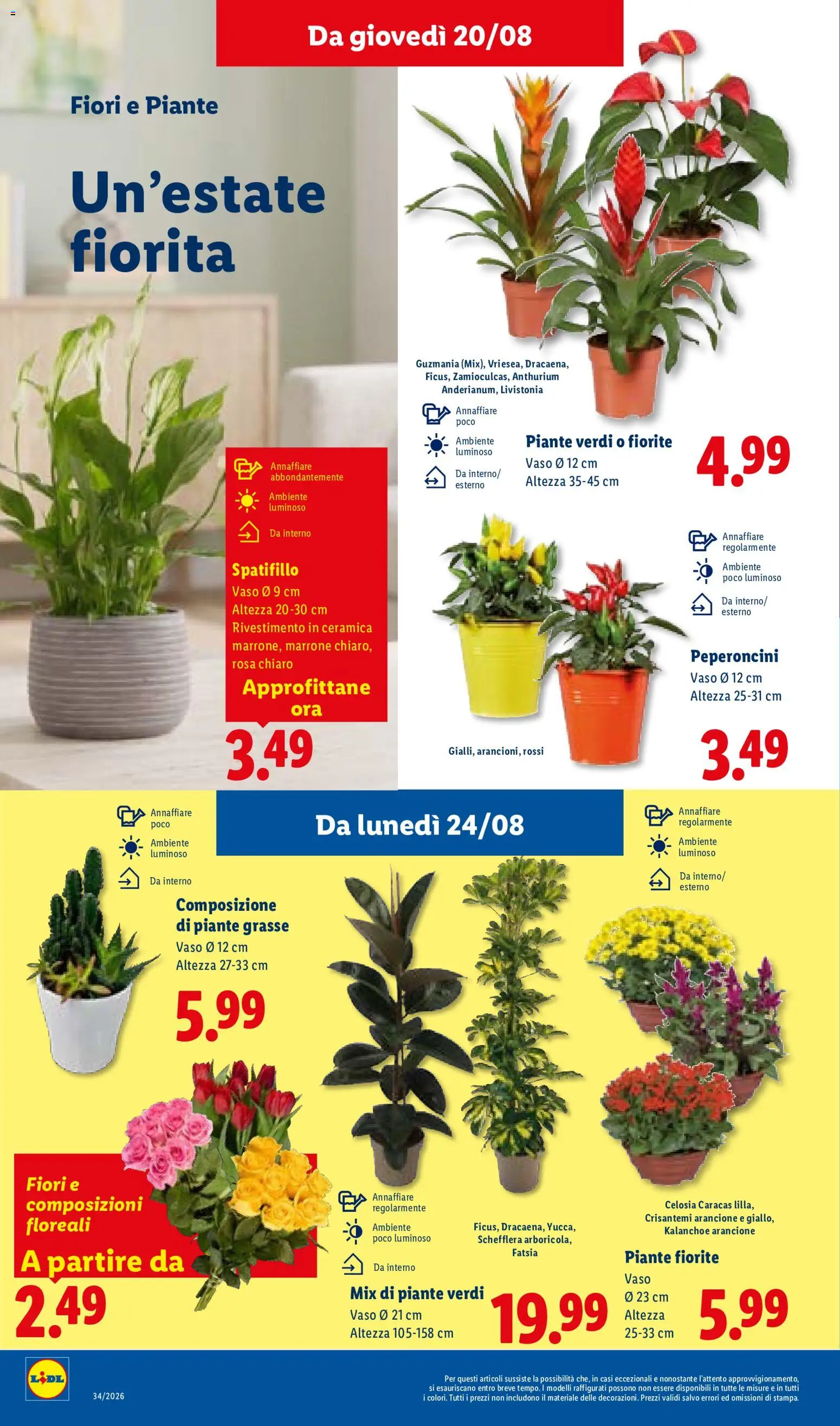 Volantino Lidl del 20/08/2026 | Pagina: 26