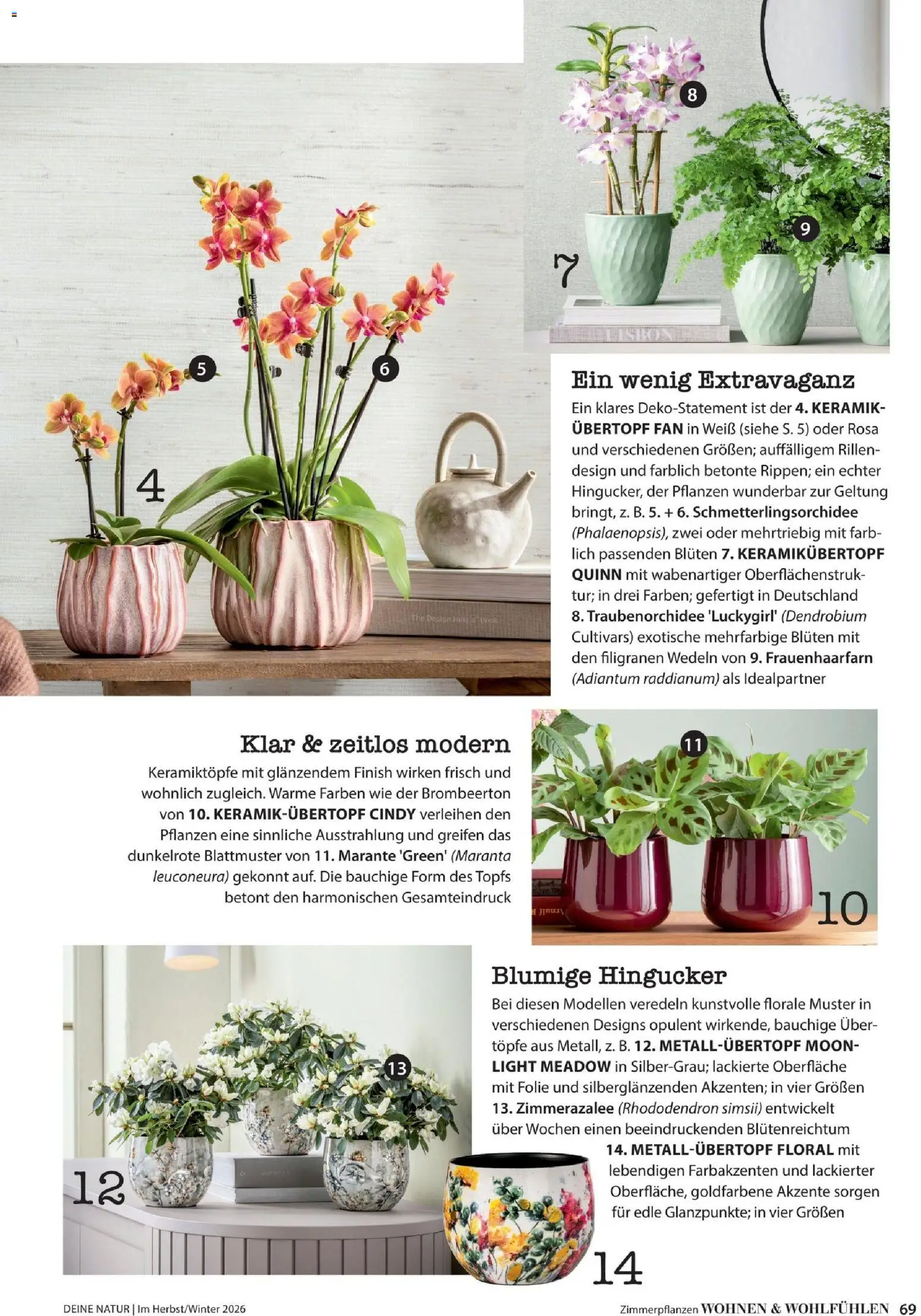 Dehner Magazine HERBST/WINTER 2026 gültig ab 09.10.2026 | Seite: 69