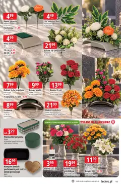 Pogląd oferty "E.Leclerc gazetka" - ważna od 20.10.2026 | Strona: 11