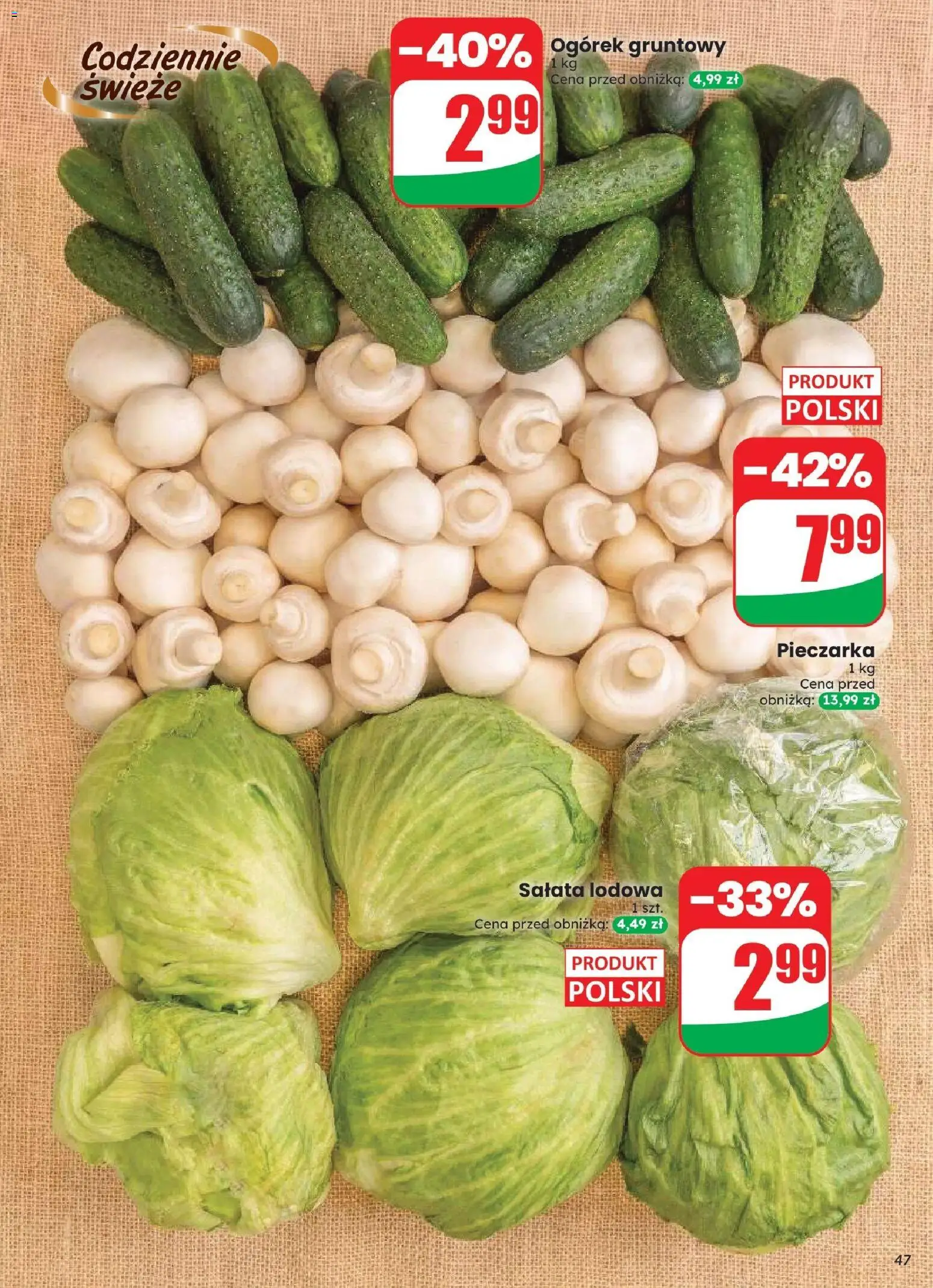 Dino gazetka od 12.08.2026 | Strona: 47 | Produkty: Sałata, Salata lodowa, Ogórek