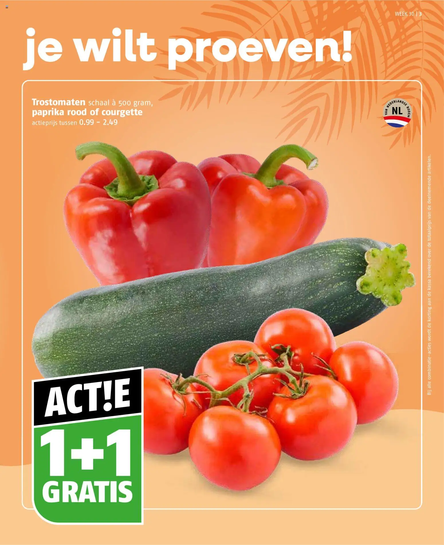{H1} | Pagina: 3 | Producten: Courgette, Schaal, Paprika