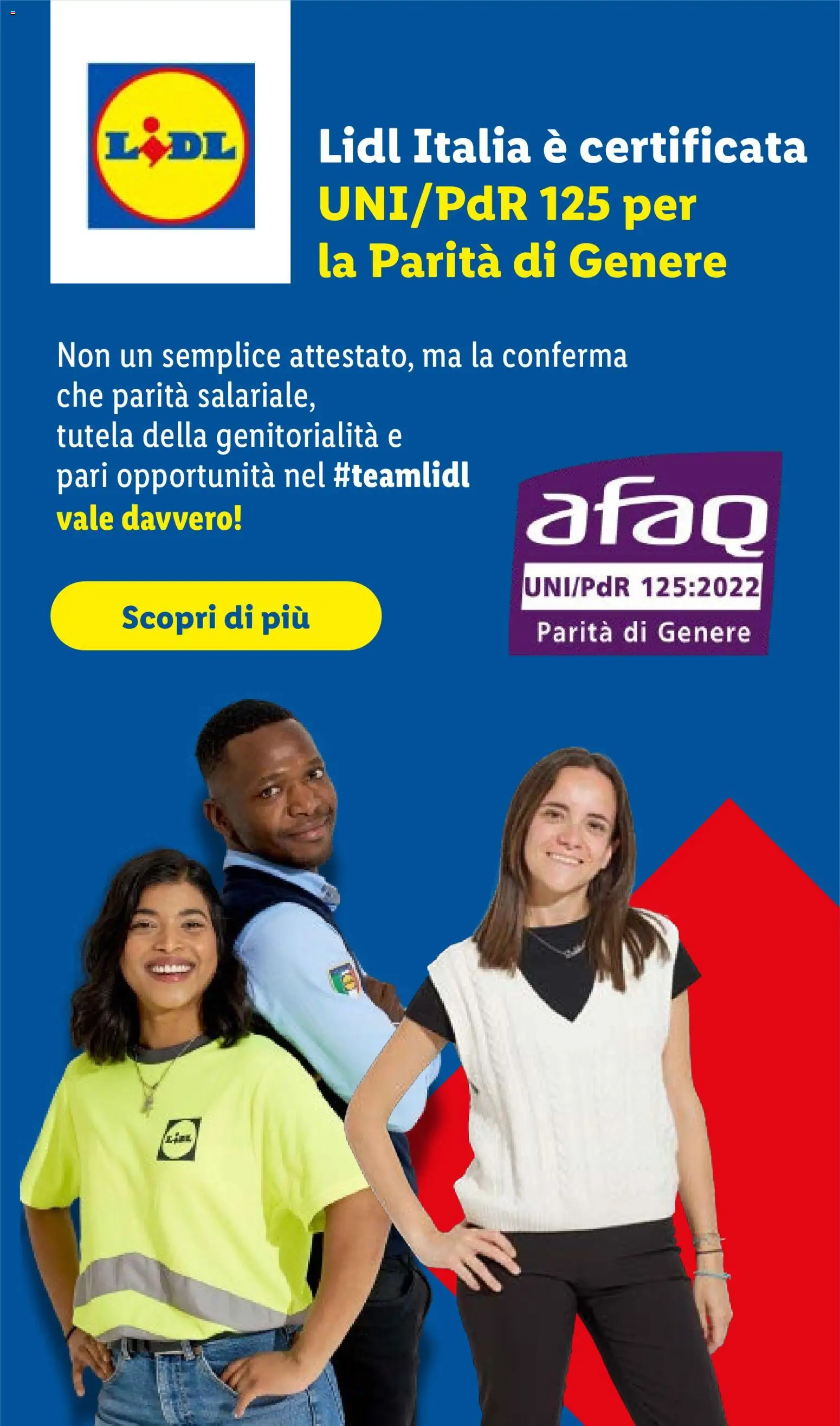 Volantino Lidl del 22/10/2026 | Pagina: 51