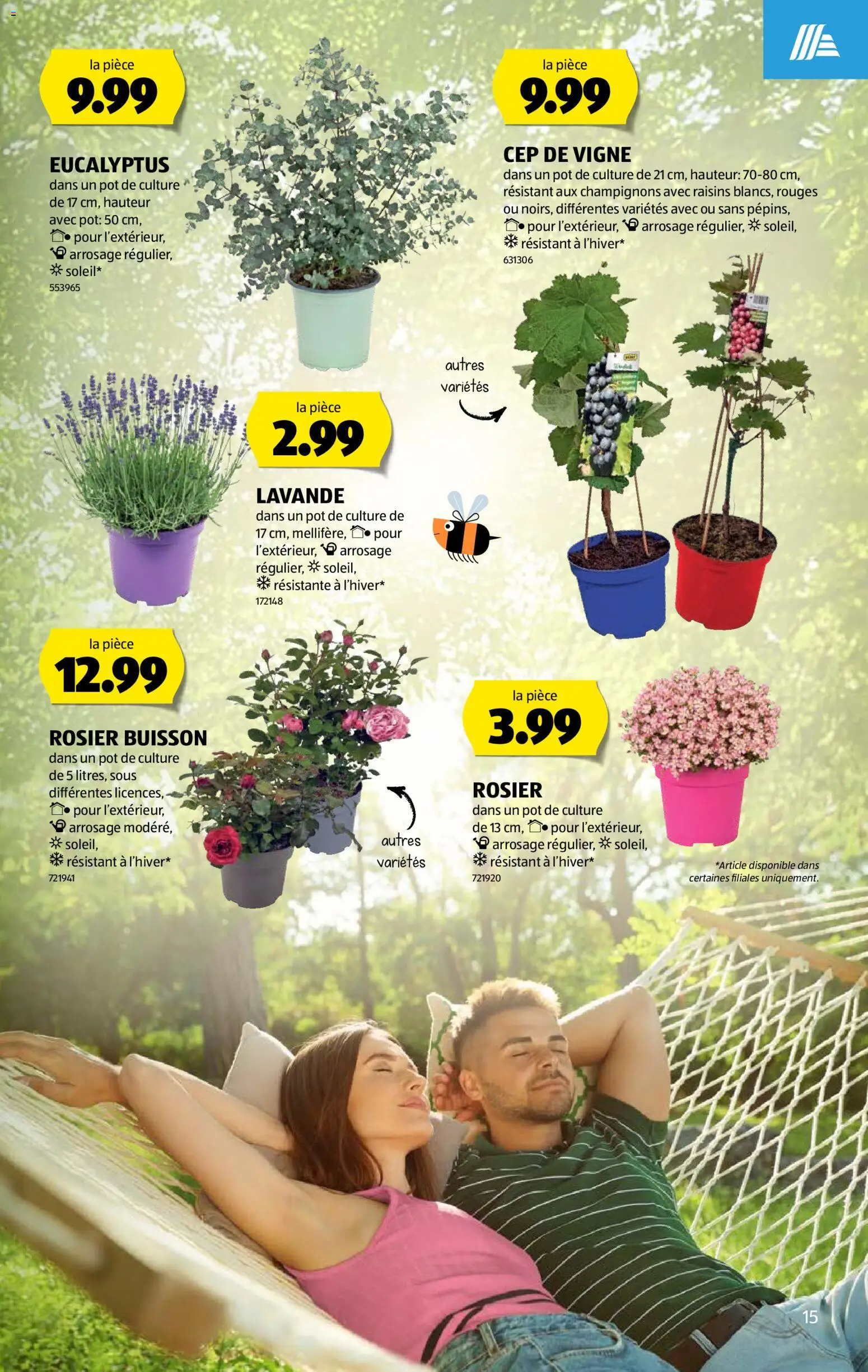 Aldi aktionen FR – gültig ab 18.06.2026 | Seite: 15