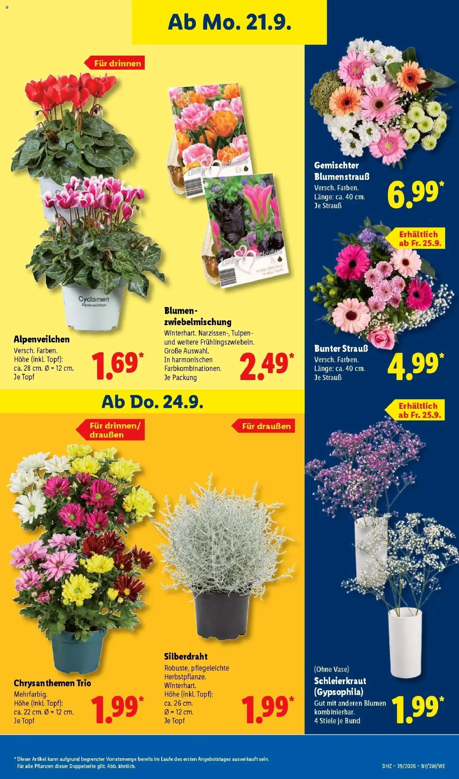 Lidl Prospekt Ehringshausen (ab 21.09.2026) zum Blättern » Angebote | Seite: 21 | Produkte: Blumen, Vase