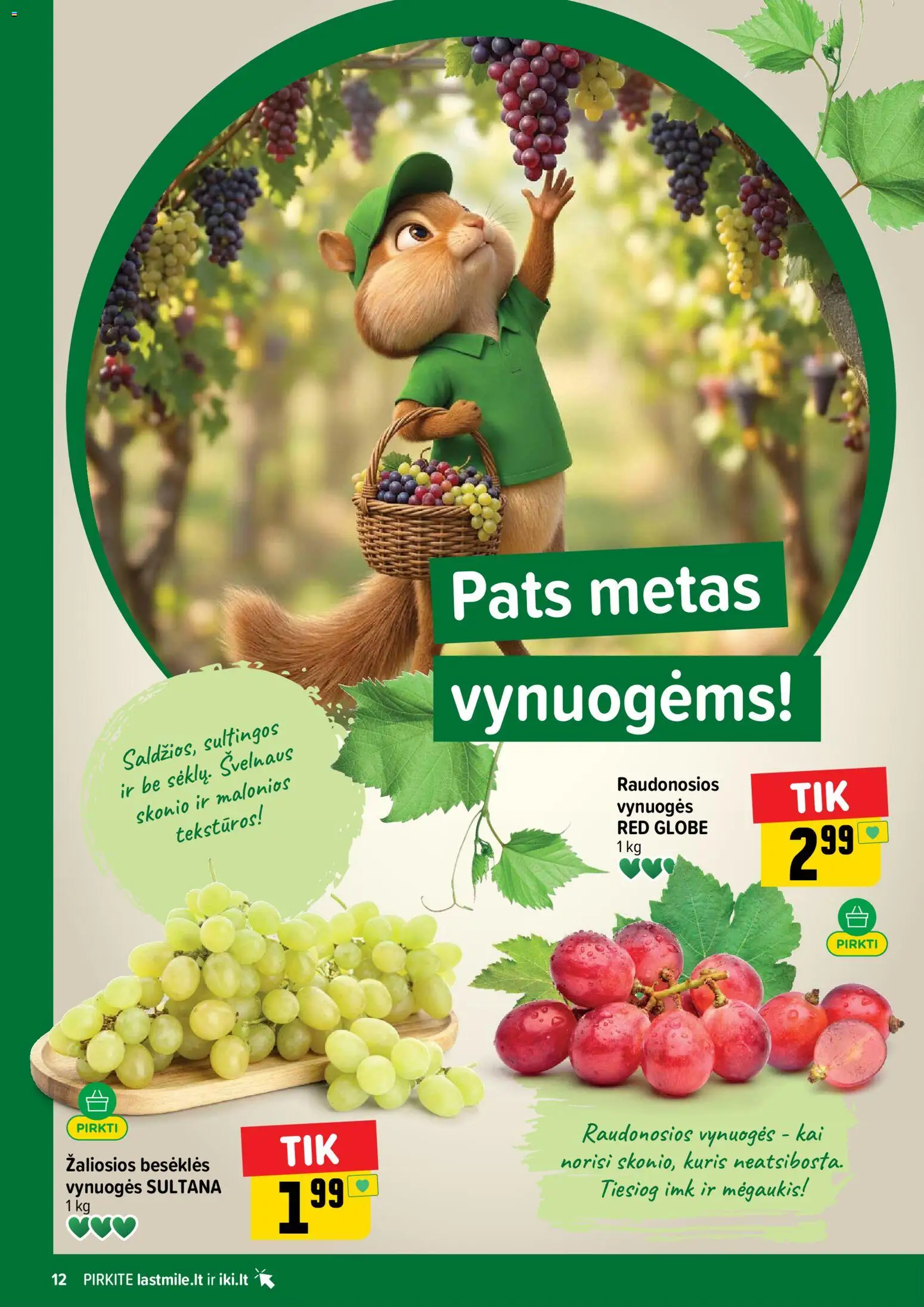 IKI akcijos nuo 2026.10.05 | Puslapis: 12 | Prekių: Vynuogės