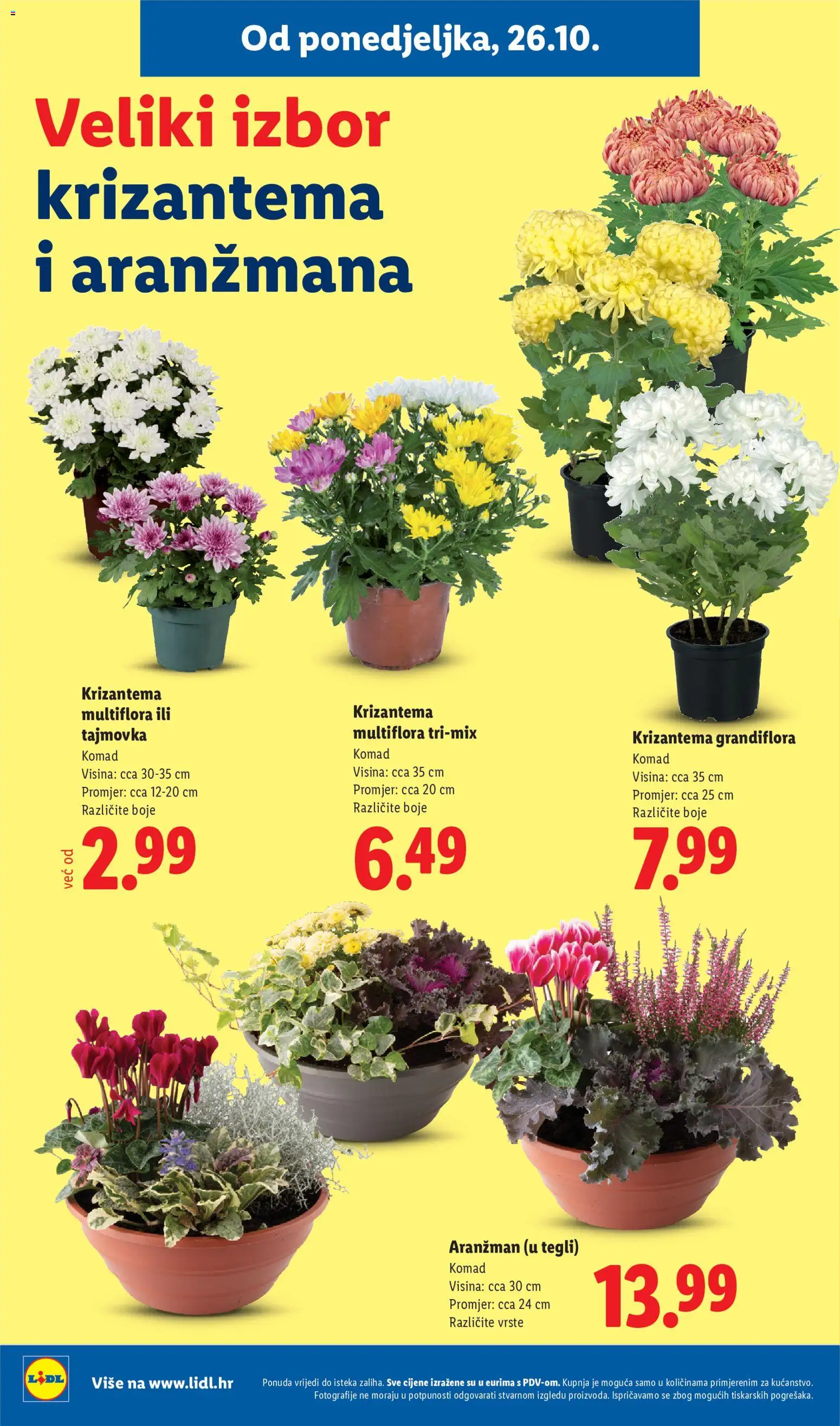 Lidl katalog | vrijedi od 26.10.2026 | Stranica: 38