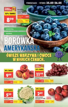 Pogląd oferty "Borówka amerykańska, opak. 300 g" - ważna od 25.05.2026 | Strona: 27