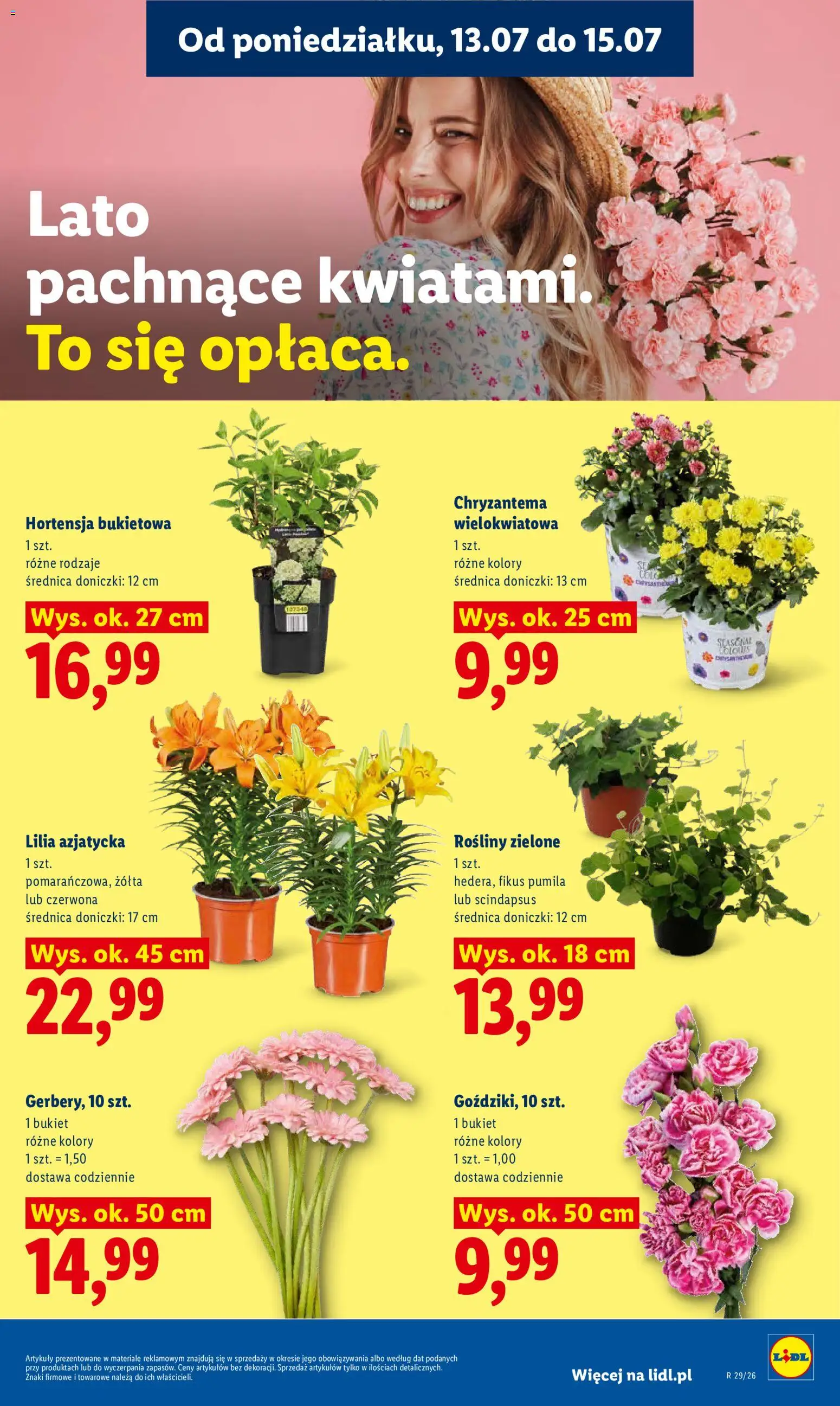 Lidl Polsko leták od 13.07.2026 | Strana: 87
