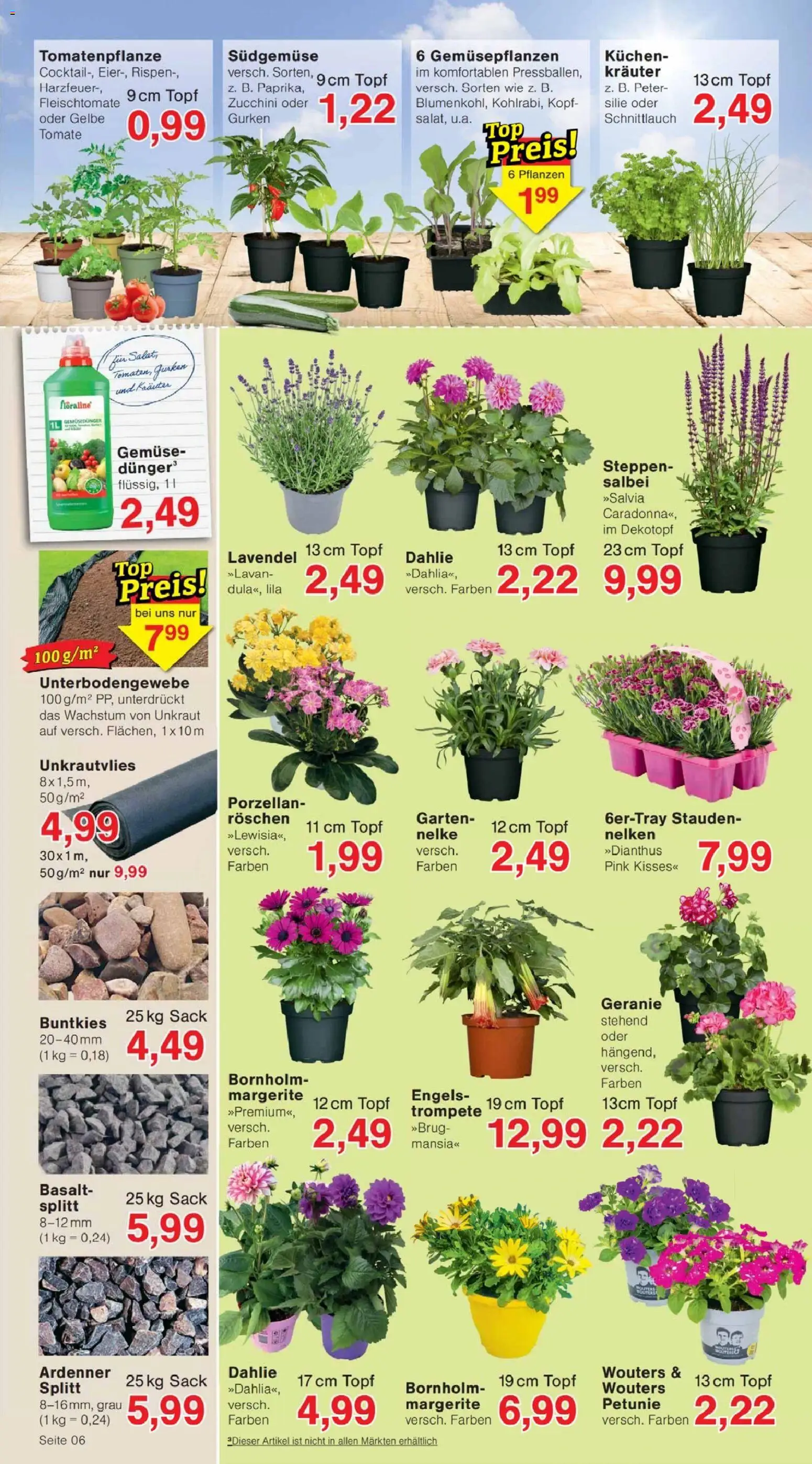 Jawoll Prospekt – gültig ab 18.05.2026 | Seite: 6 | Produkte: Gemüse, Zucchini, Kuchen, Lavendel