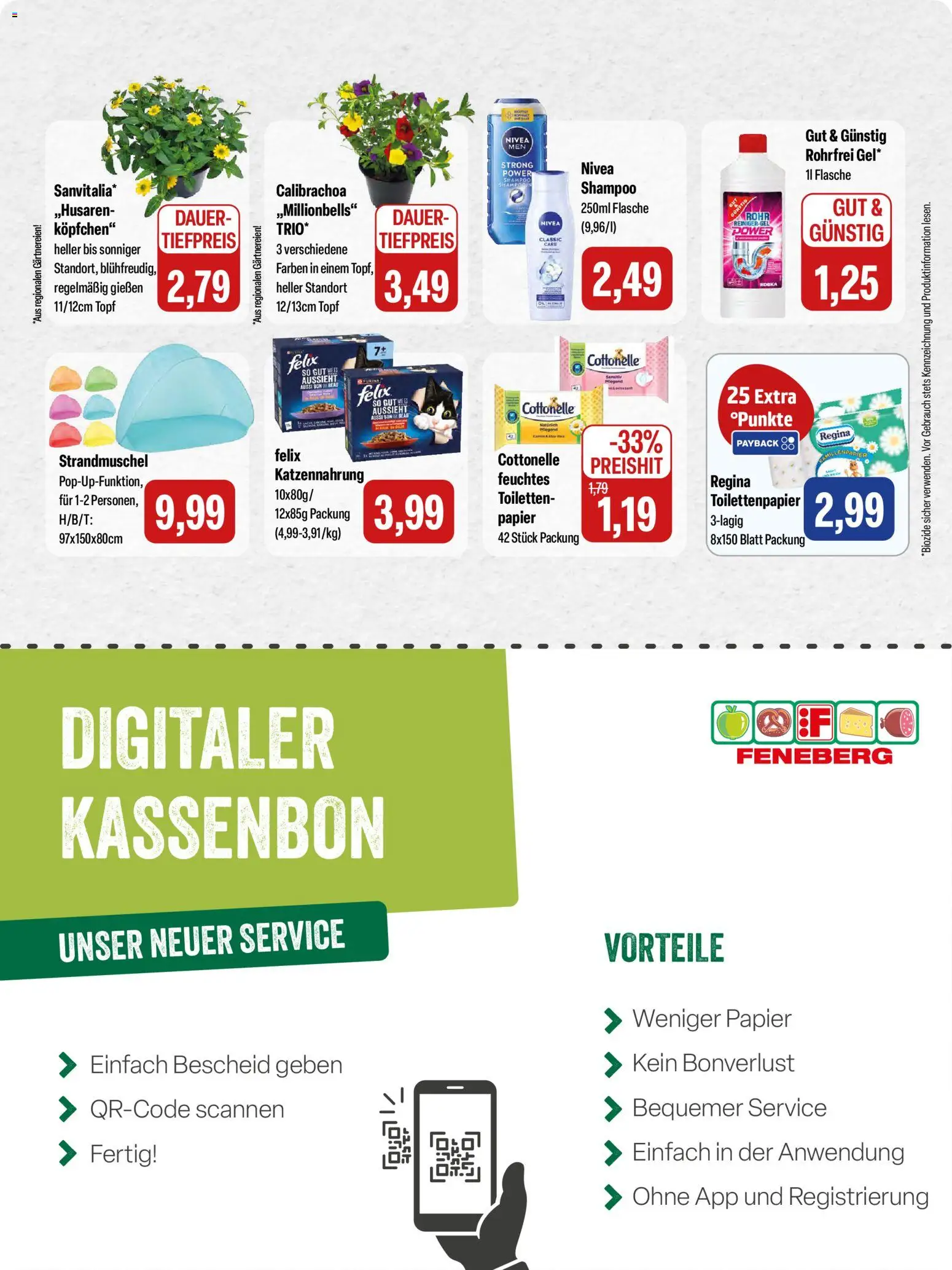 Feneberg Angebote – gültig ab 15.05.2026 | Seite: 15 | Produkte: Shampoo, Toilettenpapier
