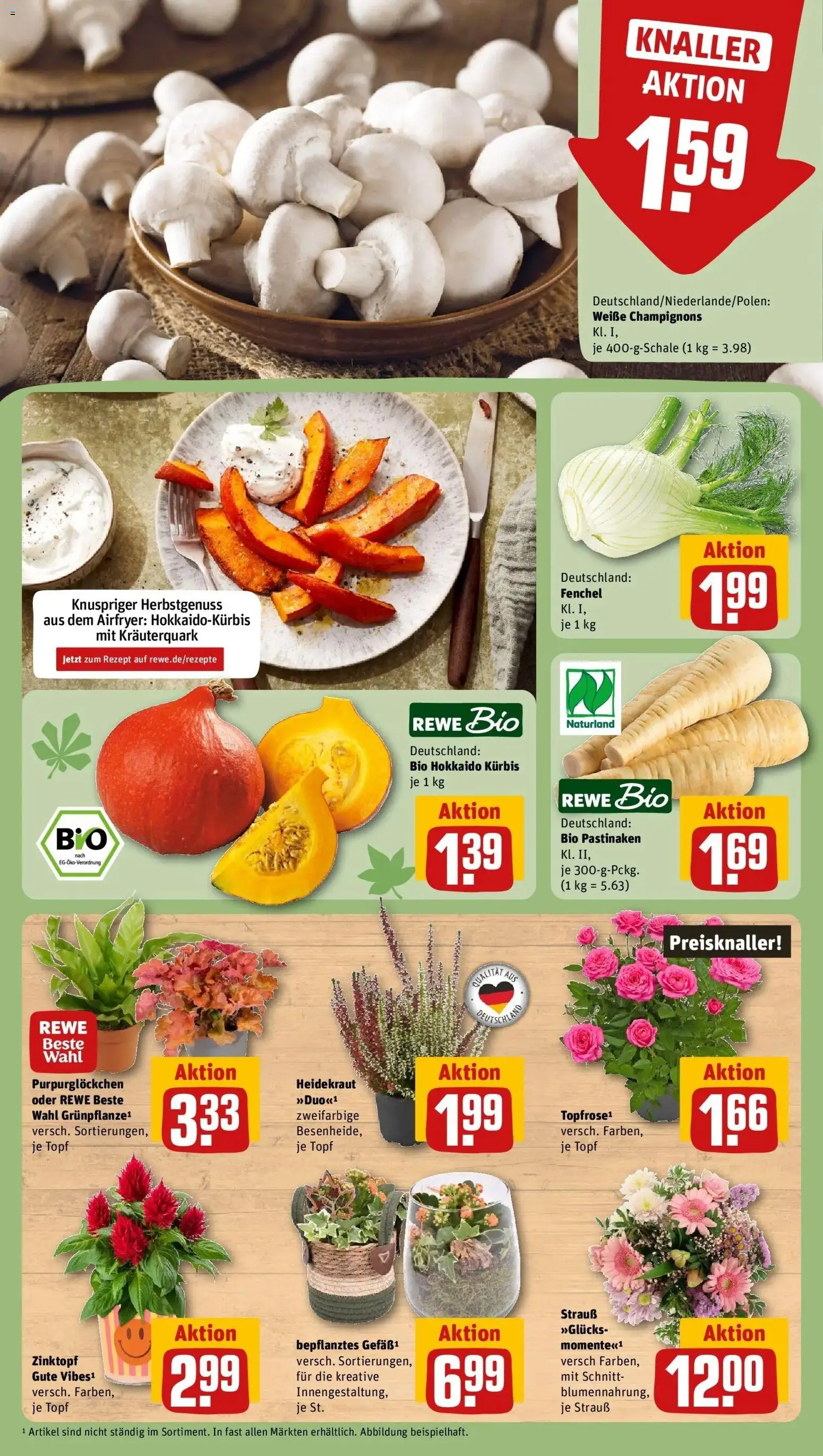 REWE Prospekt ab 28.09.2026 zum Blättern » Angebote | Seite: 13 | Produkte: Champignons, Kürbis