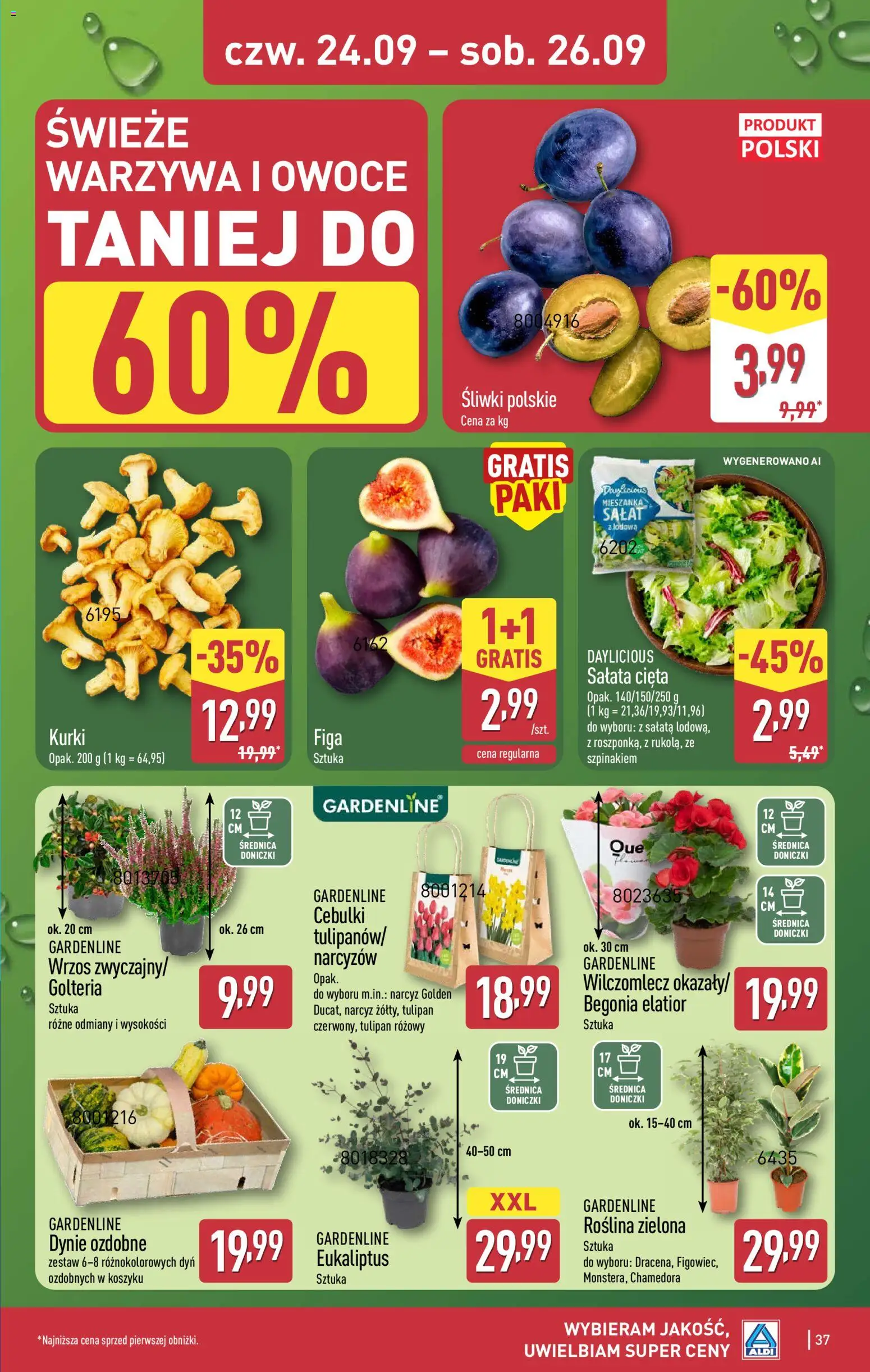 Aldi gazetka od 21.09.2026 | Strona: 37