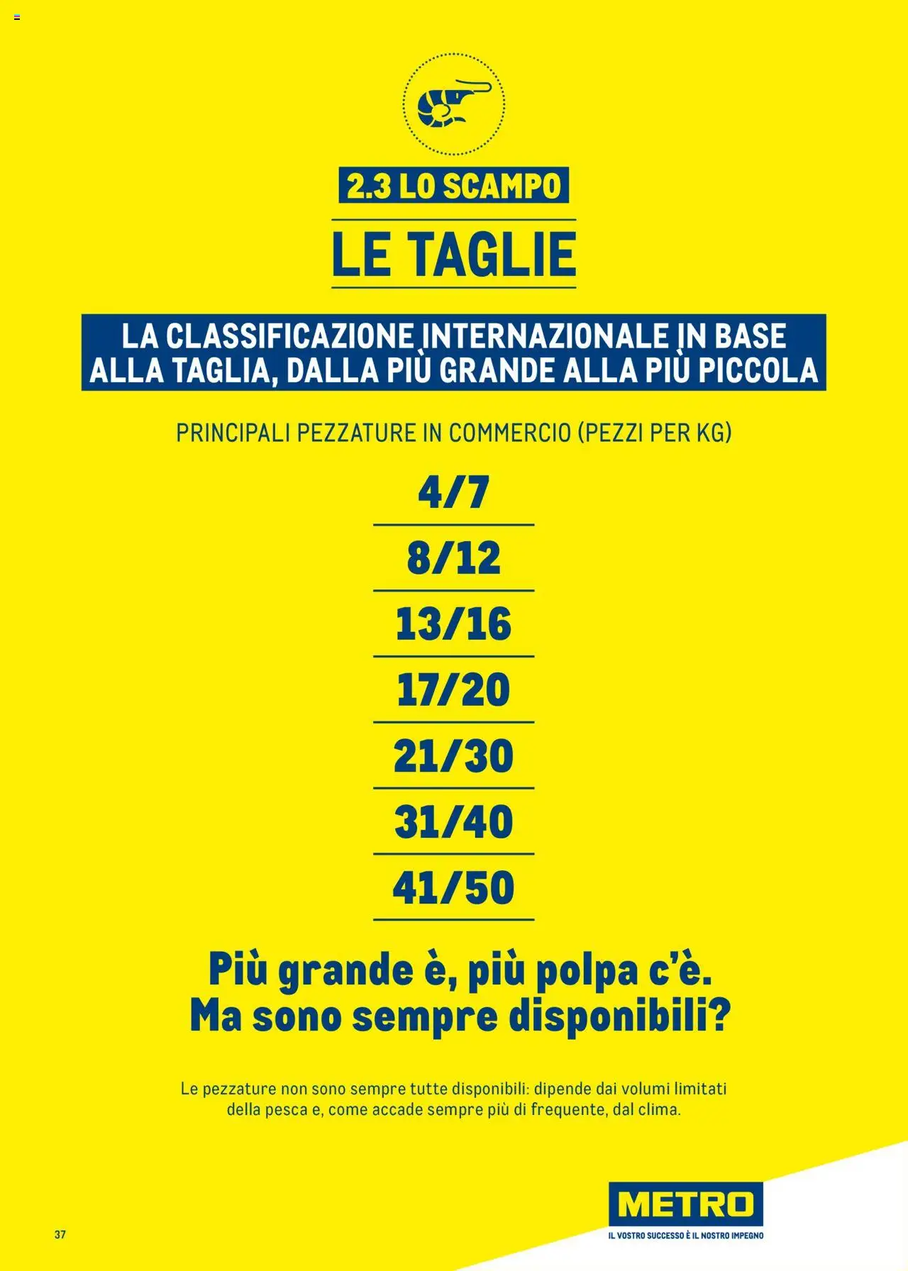 Volantino Metro del 30.06.2025 | Pagina: 37 | Prodotti: Pesca