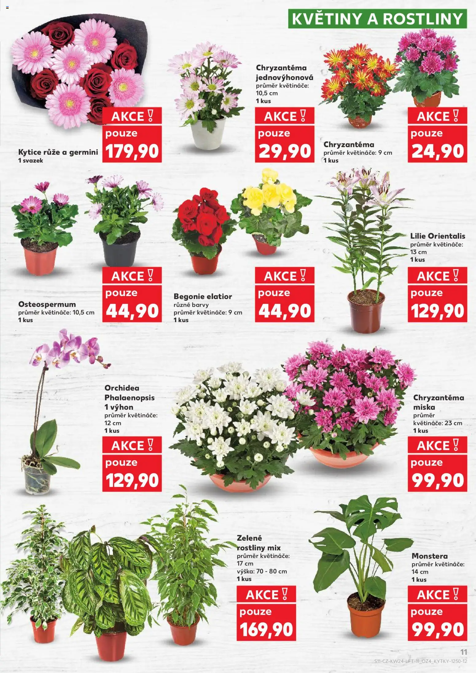 Kaufland leták - Plzeň od 10.06.2026 | Strana: 11 | Produkty: Monstera, Květináče, Miska, Květiny
