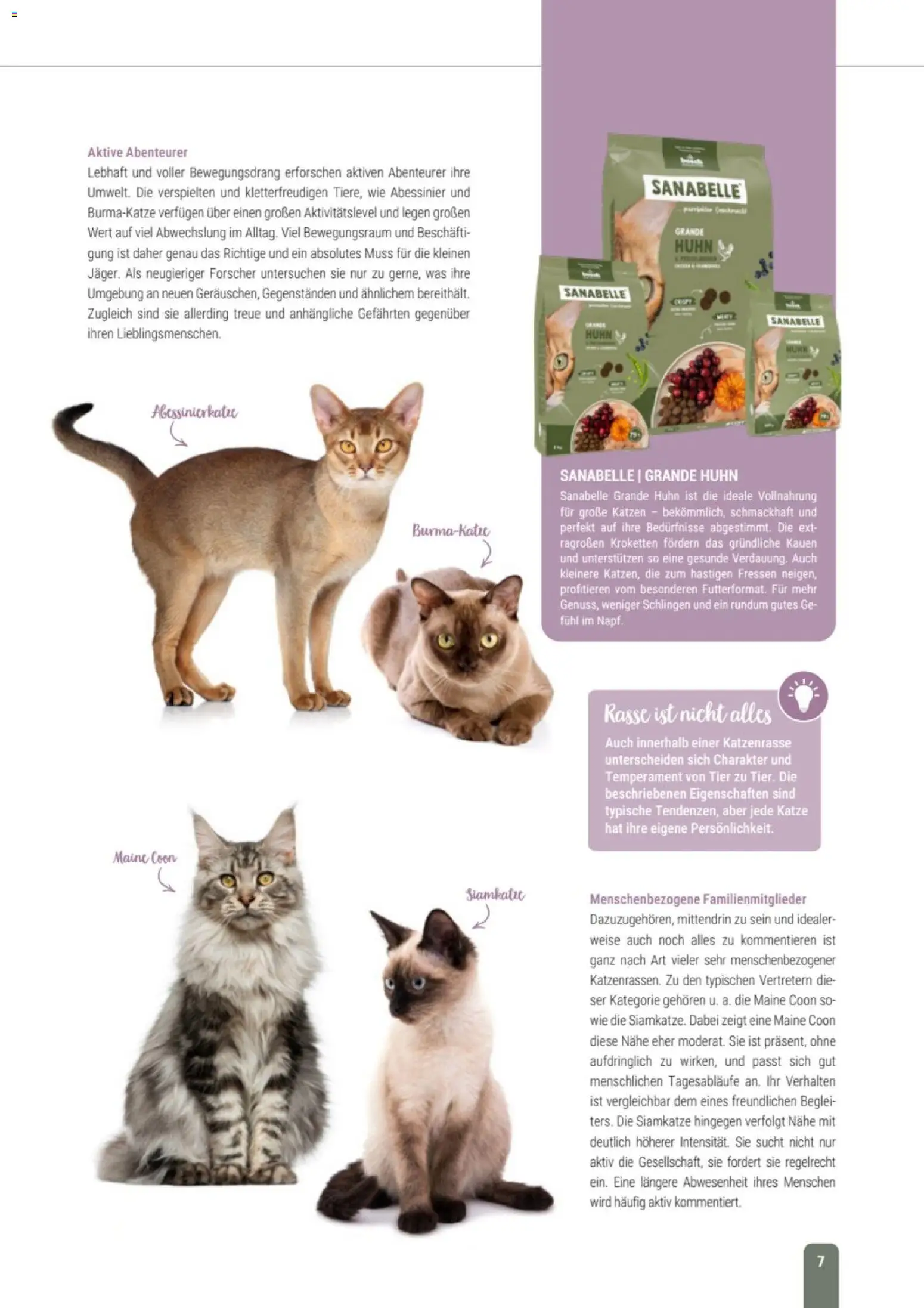 zookauf Themenkatalog Katze – gültig ab 01.10.2026 | Seite: 7