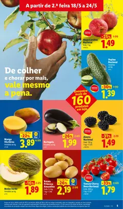 Pré-visualização Pepino Nacional, Vendido ao kg válido de 18.05.2026 | Página: 5