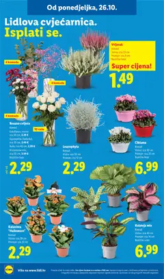 Lidl Katalog - Pregled kataloga iz trgovine Lidl, vrijedi od 26.10.2026 | Stranica: 62