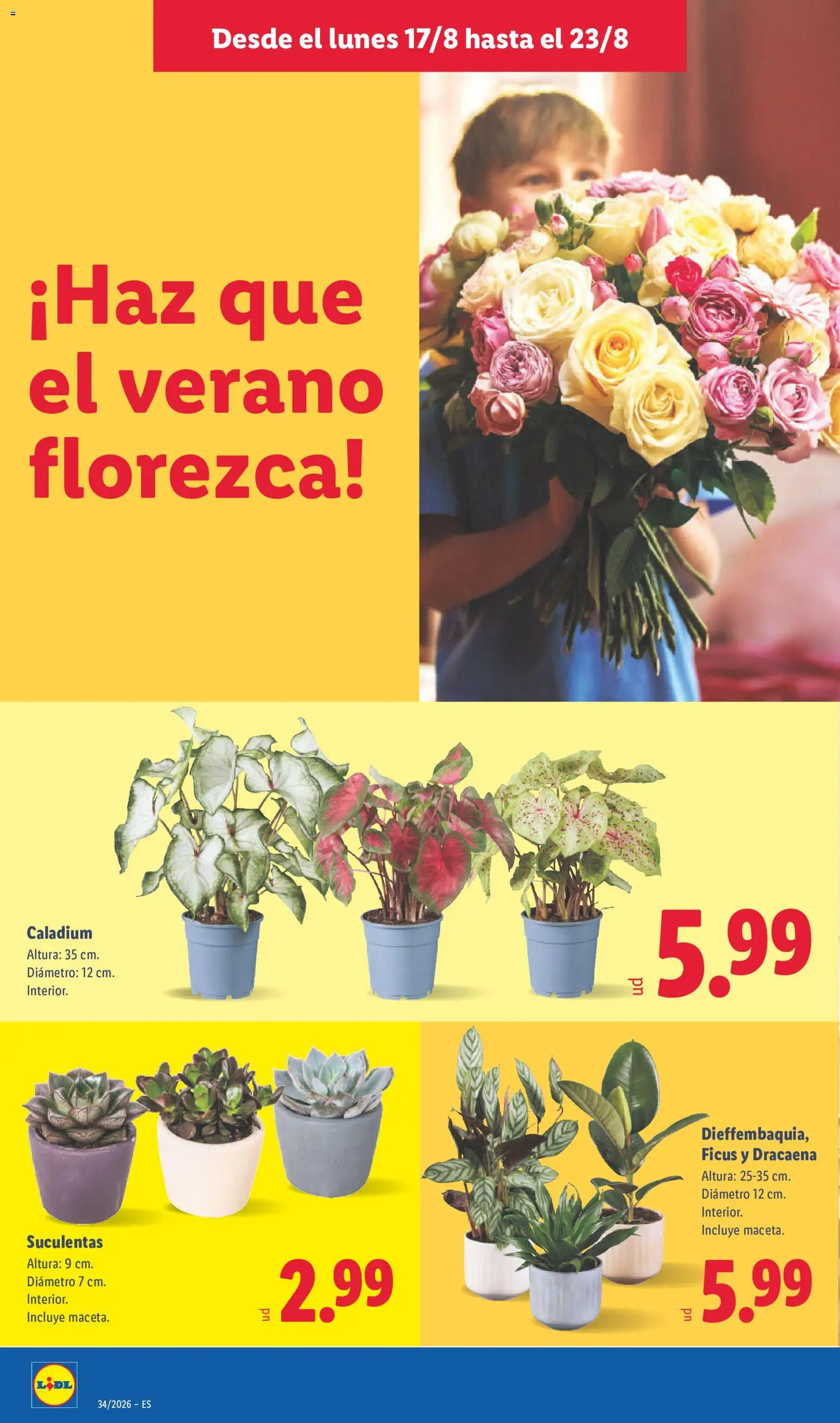 Lidl folleto │ válido desde el 17/08/2026 | Página: 48