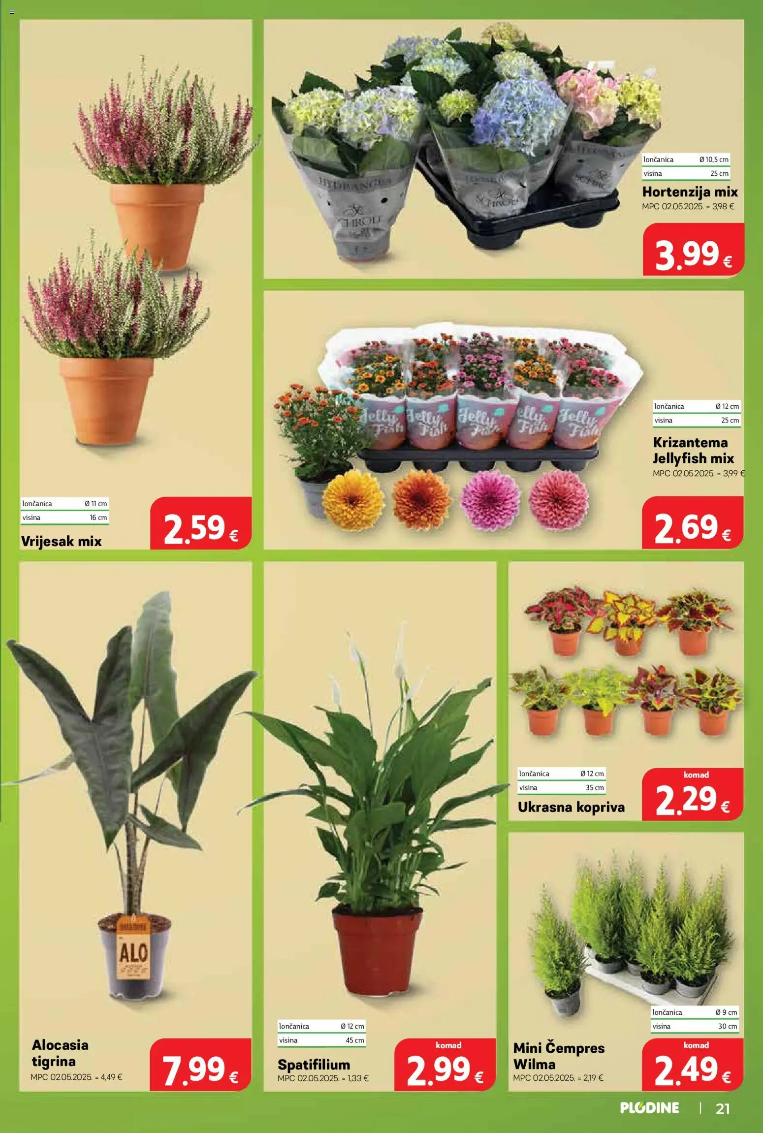 Plodine katalog | vrijedi od 02.09.2026 | Stranica: 21 | Proizvodi: Ukrasna kopriva, Hortenzija, Vrijesak, Loncanica