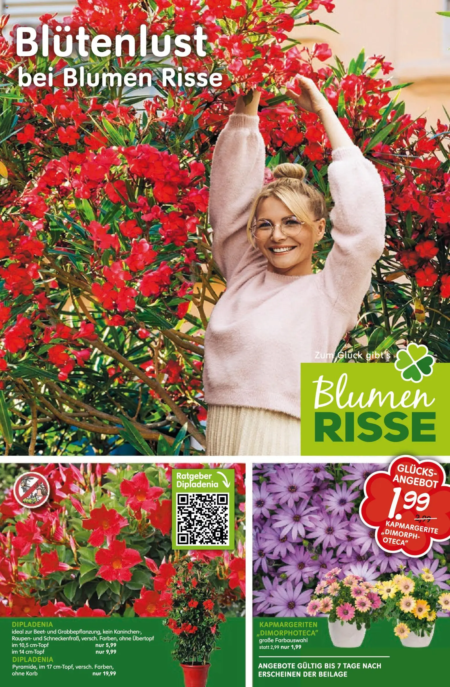 Blumen Risse Prospekt Blumenmarkt – gültig ab 28.05.2026 | Seite: 1 | Produkte: Kaninchen, Korb, Blumen