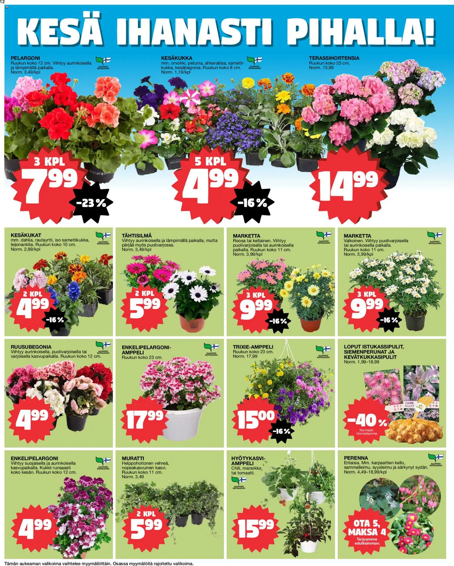 Tokmanni tarjoukset – voimassa 25.05.2026 alkaen | Sivu: 12