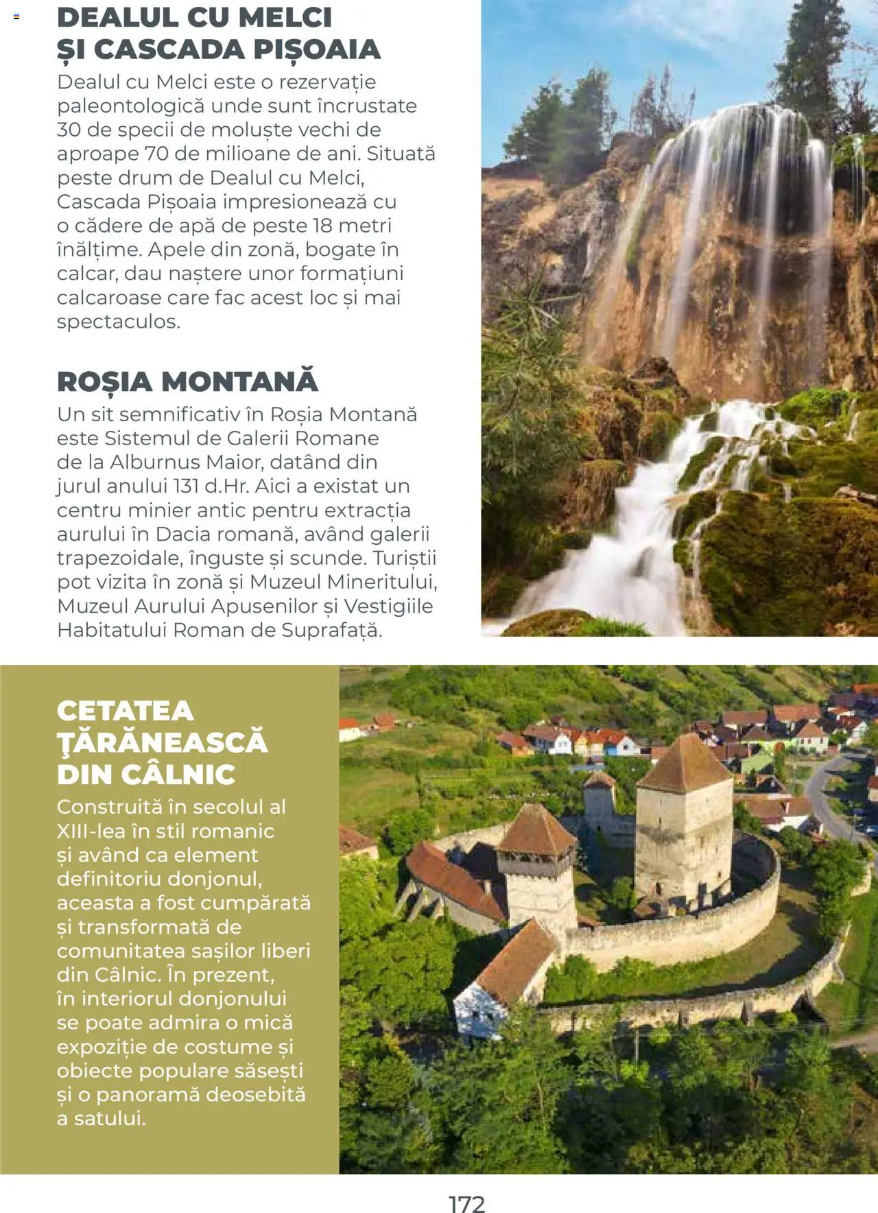 Noul catalog Metro – valabil de la 01.08.2025 | Pagină: 172 | Produse: Pește, Apă