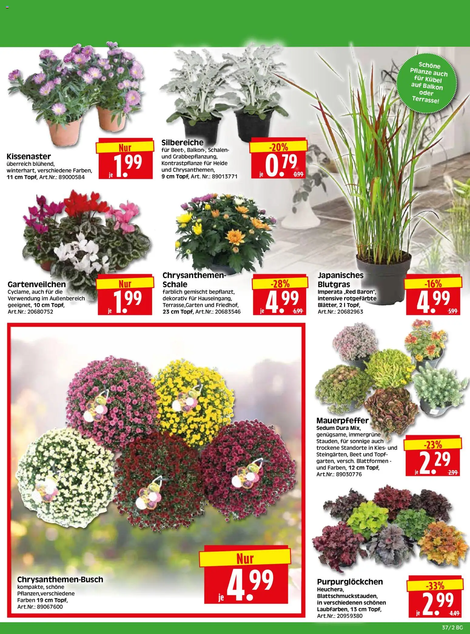 HERKULES Bau & Garten – gültig ab 07.09.2026 | Seite: 2