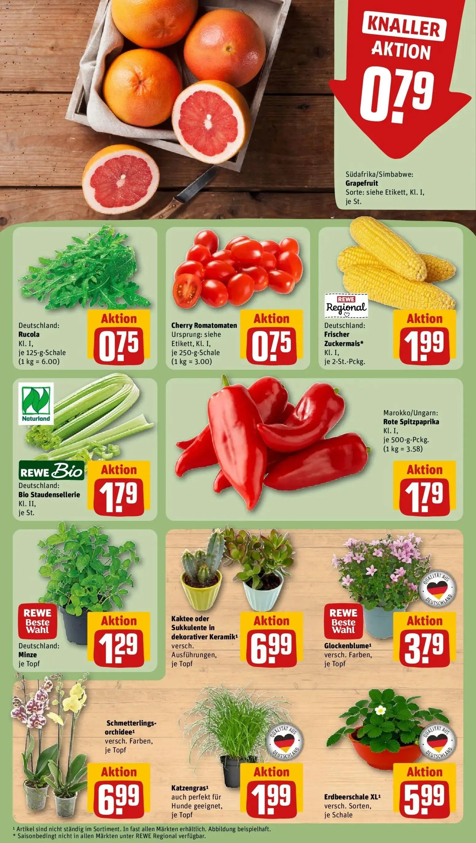 Rewe Prospekt Lorch – gültig ab 27.07.2026 | Seite: 5 | Produkte: Orchidee, Rucola, Grapefruit