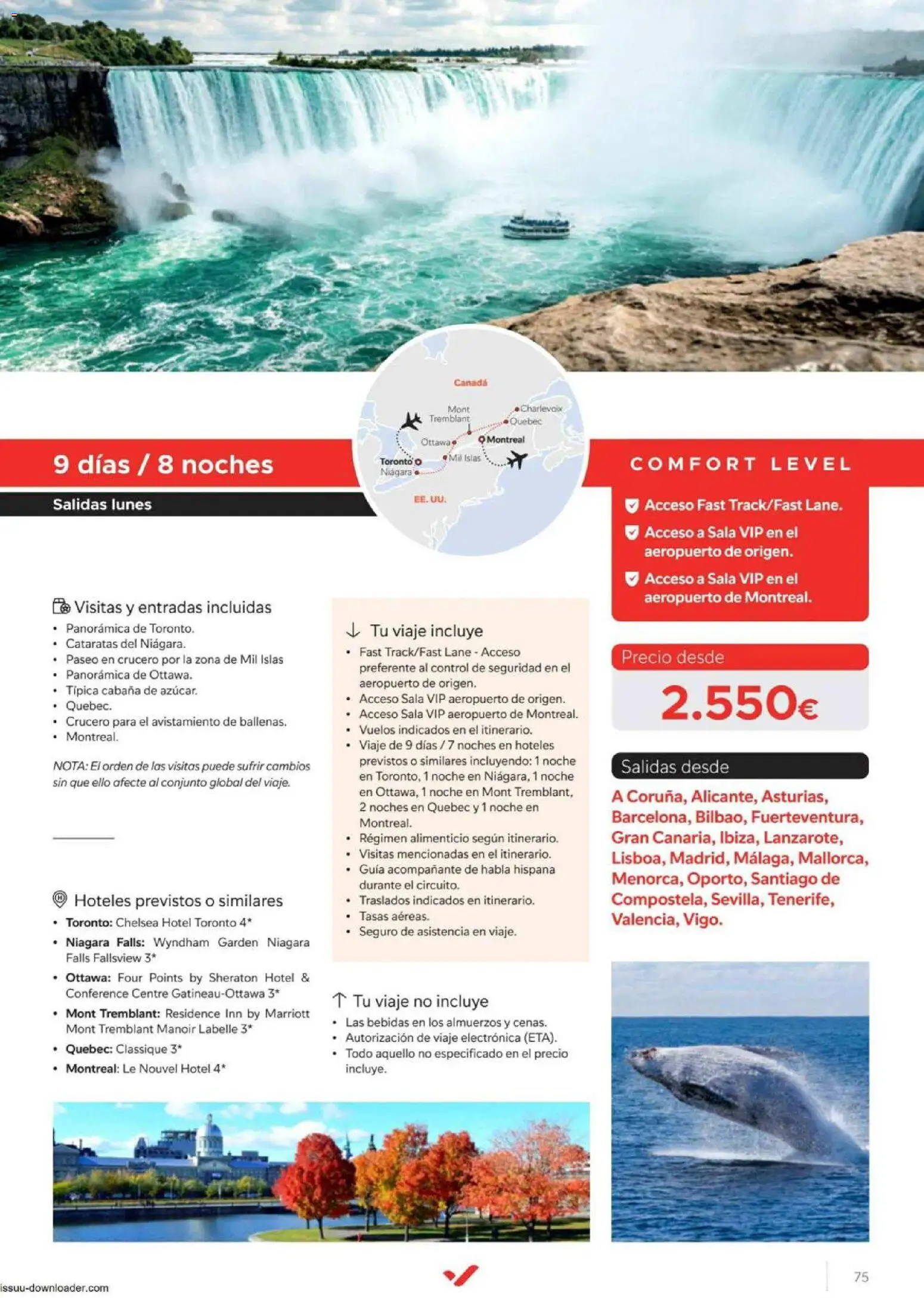 Halcón Viajes Comfort level 2026 │ válido desde el 04.06.2026 | Página: 75