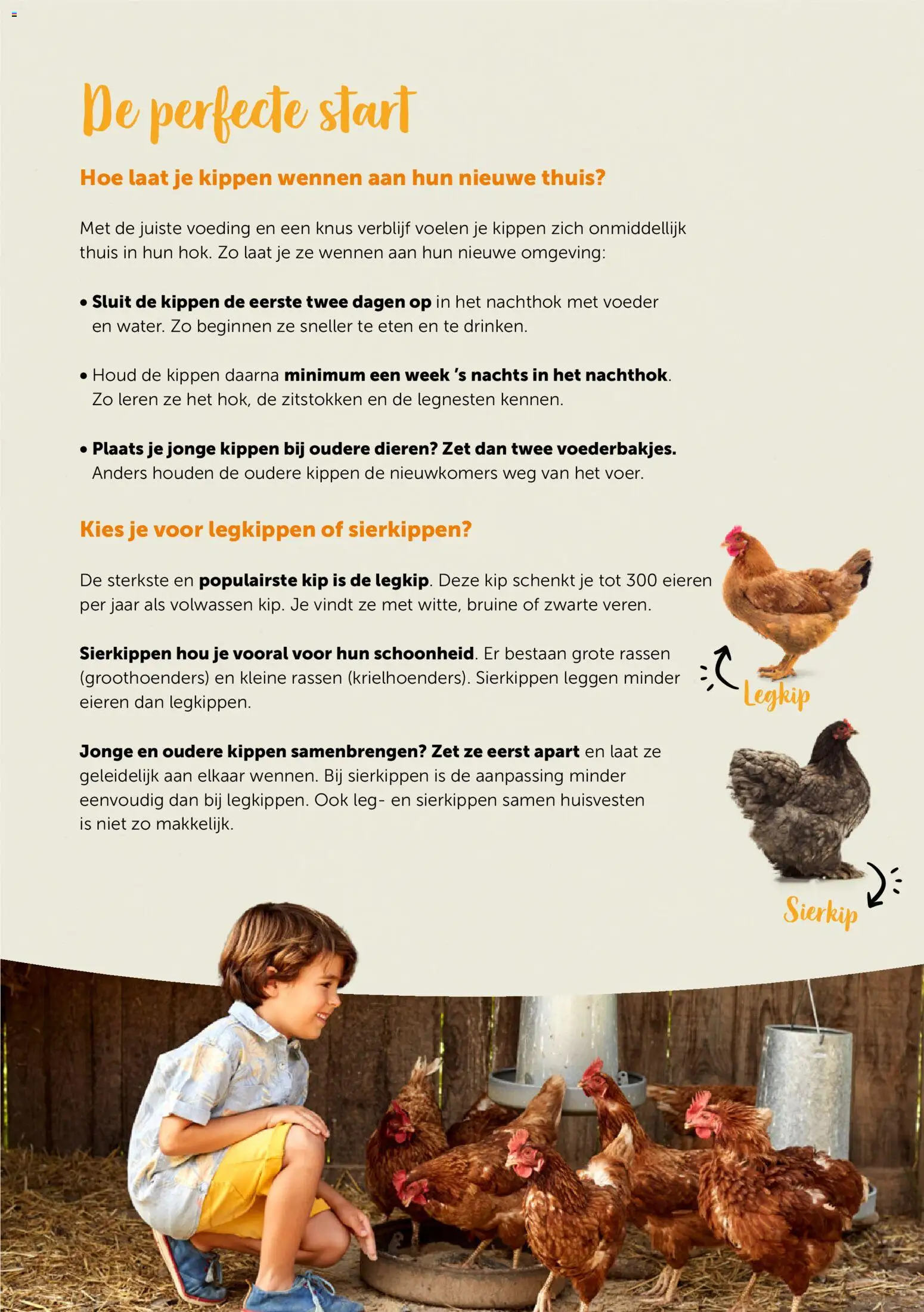 {H1} | Pagina: 3 | Producten: Kip, Eieren