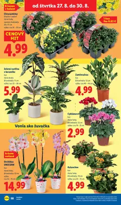 Lidl leták platný od 24.08.2026 | Strana: 52