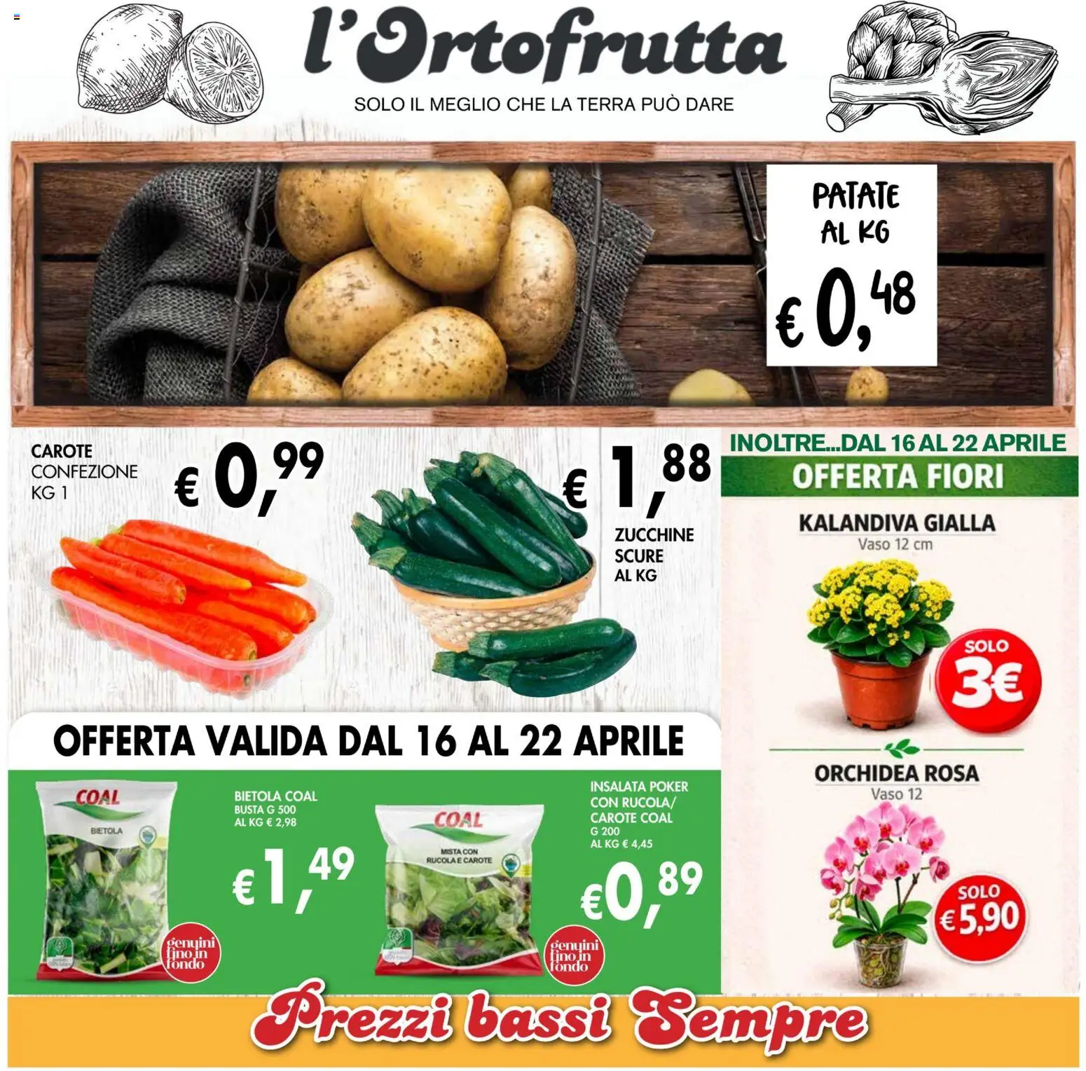 Volantino Coal del 09.04.2026 | Pagina: 3 | Prodotti: Insalata, Patate, Orchidea, Vaso
