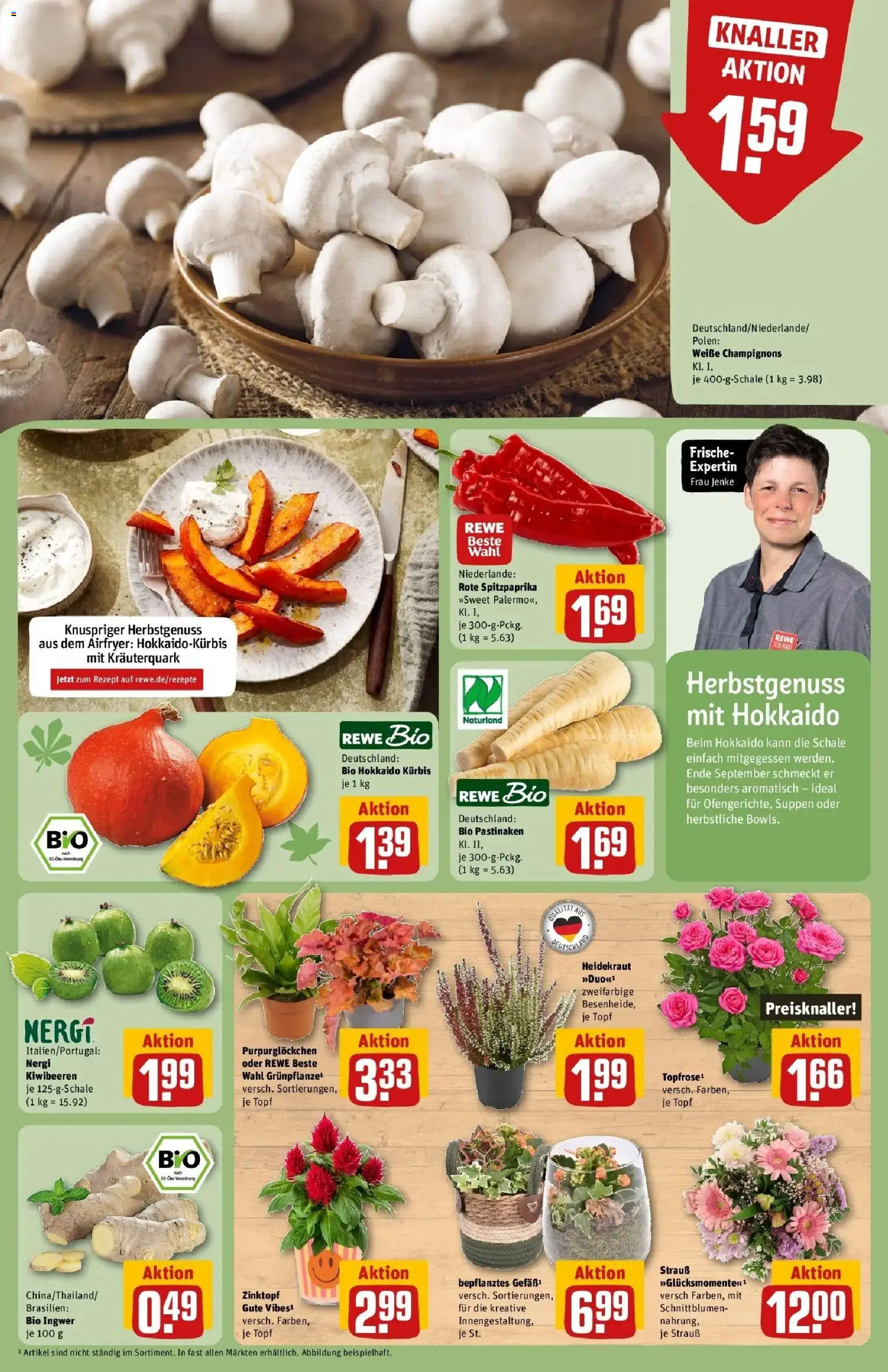 REWE Prospekt ab 28.09.2026 zum Blättern » Angebote | Seite: 13 | Produkte: Champignons, Kürbis