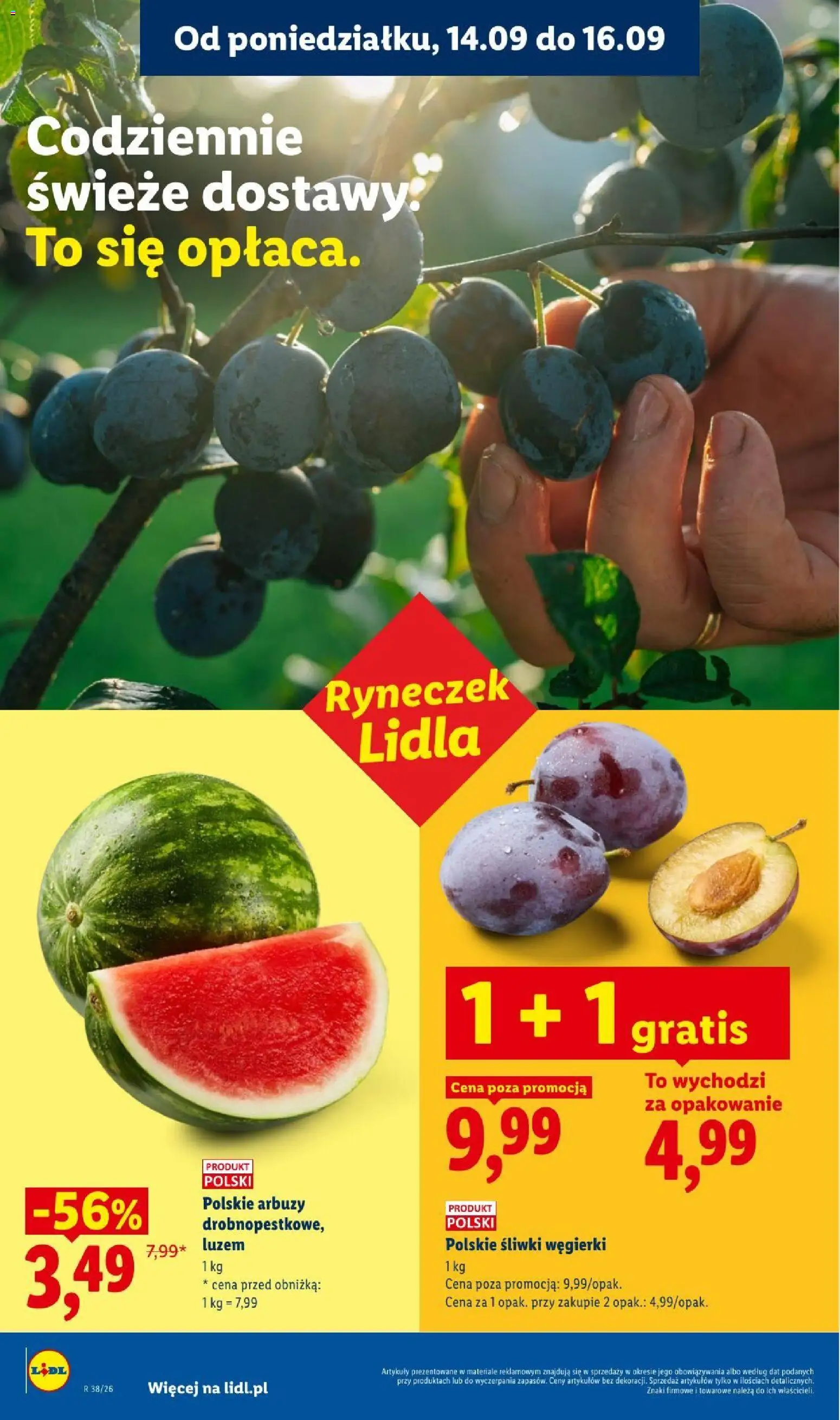 Lidl gazetka od 14.09.2026 | Strona: 28