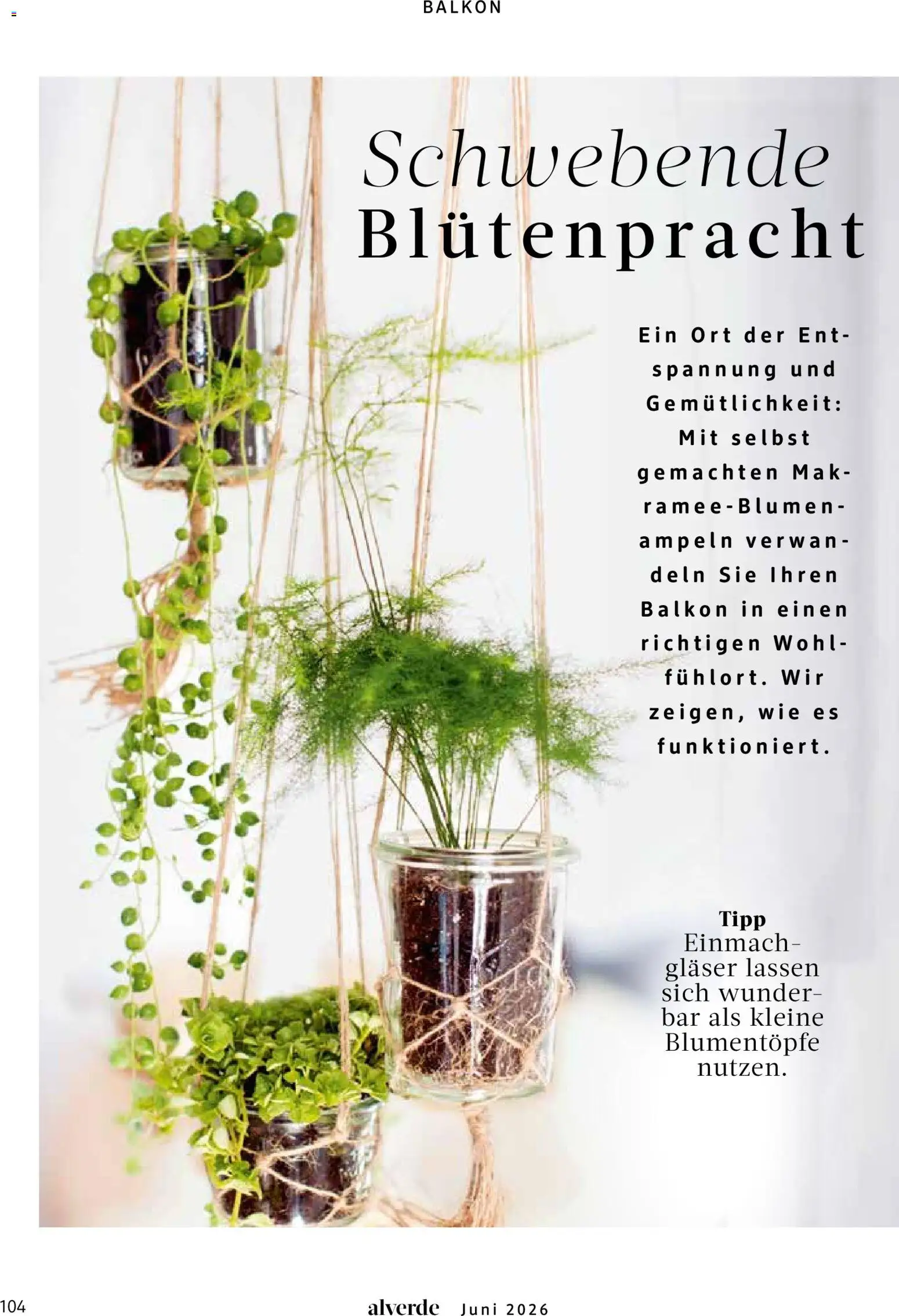 dm drogerie Prospekt – gültig ab 01.06.2026 | Seite: 104 | Produkte: Blumen