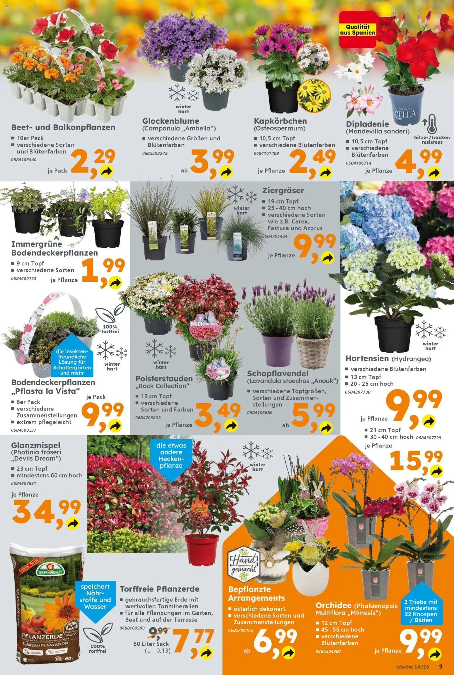 Globus Baumarkt Prospekt 	 – gültig ab 30.03.2026 | Seite: 9 | Produkte: Pflanzerde, Orchidee, Wasser