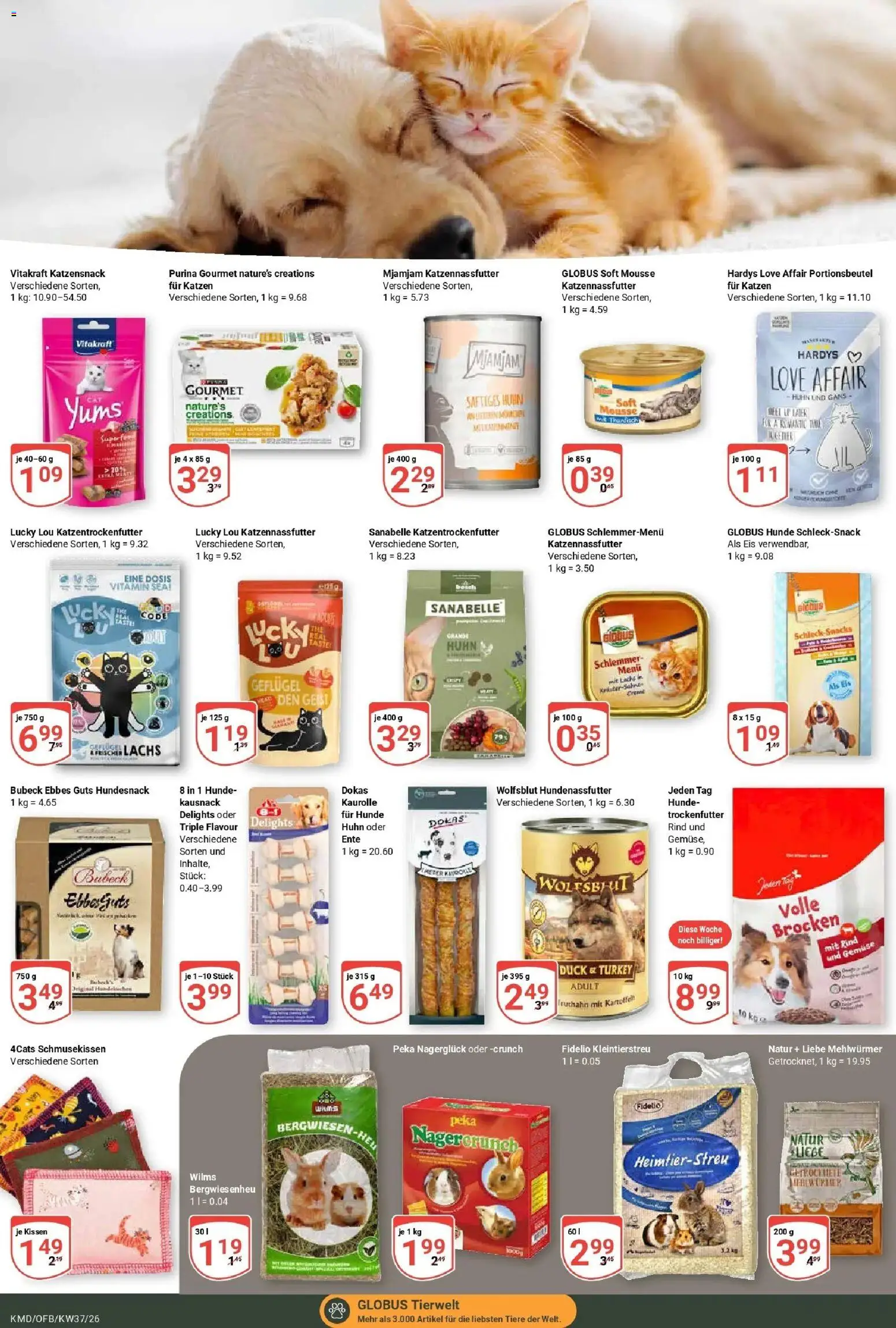 Globus Prospekt Köln – gültig ab 07.09.2026 | Seite: 25 | Produkte: Kissen, Liege, Lachs, Ente