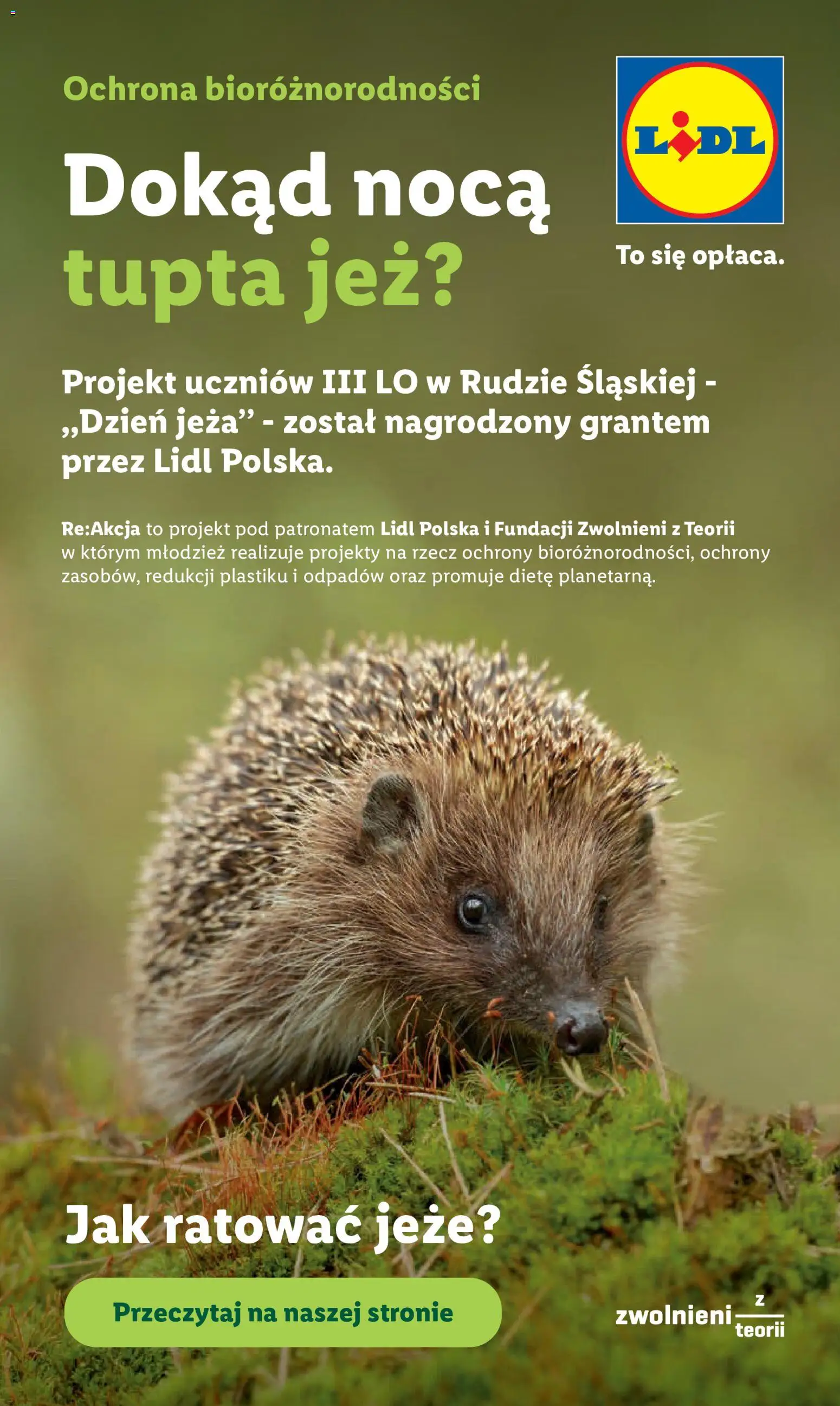 Lidl Polsko leták od 11.06.2026 | Strana: 96