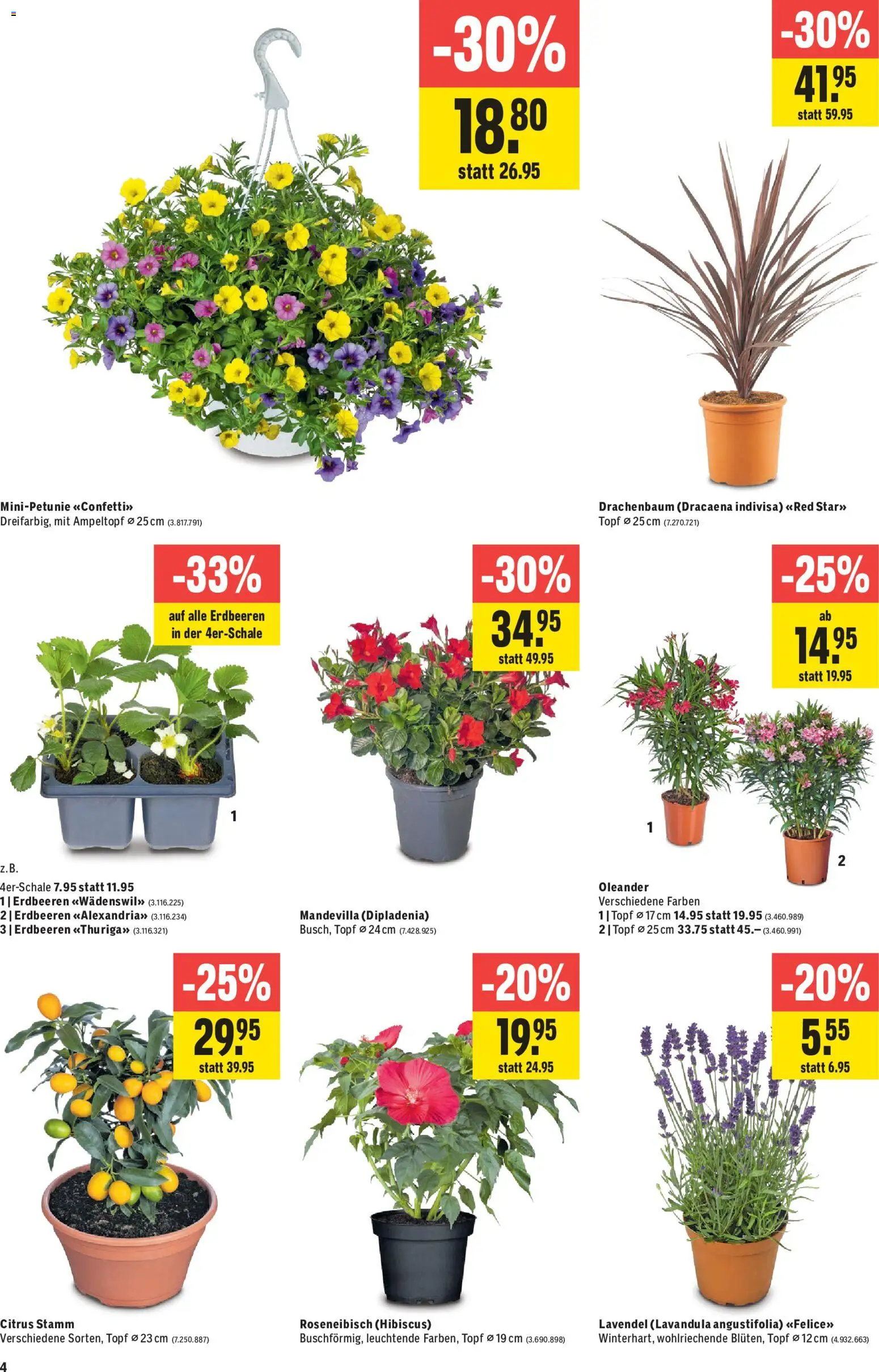 Jumbo aktionen – gültig ab 07.05.2026 | Seite: 4 | Produkte: Erdbeeren