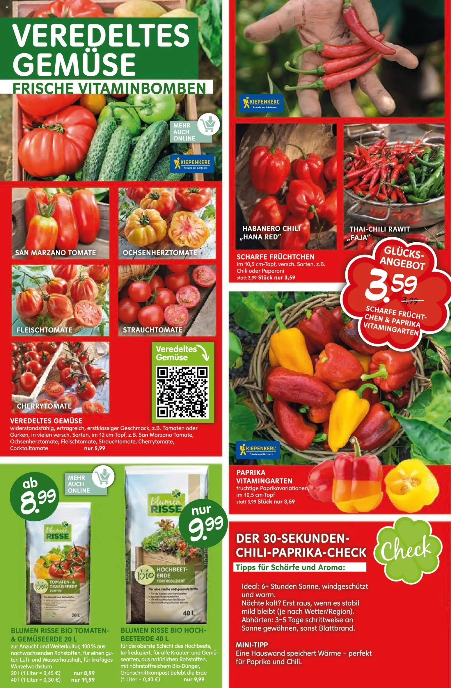 Blumen Risse Prospekt Blumenmarkt – gültig ab 28.05.2026 | Seite: 2 | Produkte: Hochbeet, Tomaten, Paprika, Chili