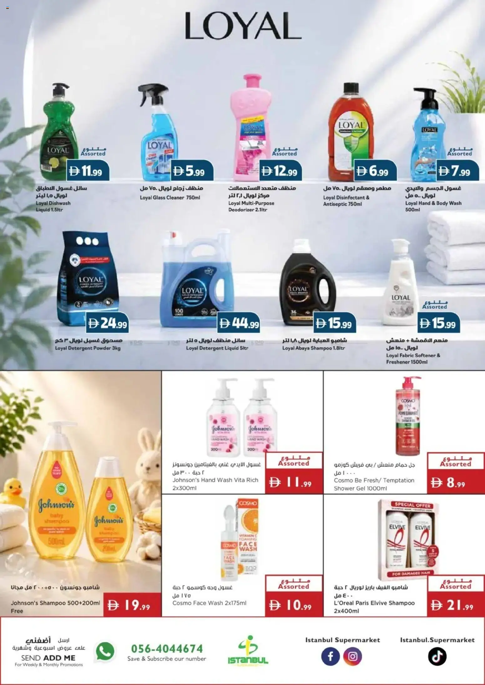 {H1} | Page: 17 | Products: Disinfectant, Shower, Shampoo, Shower gel