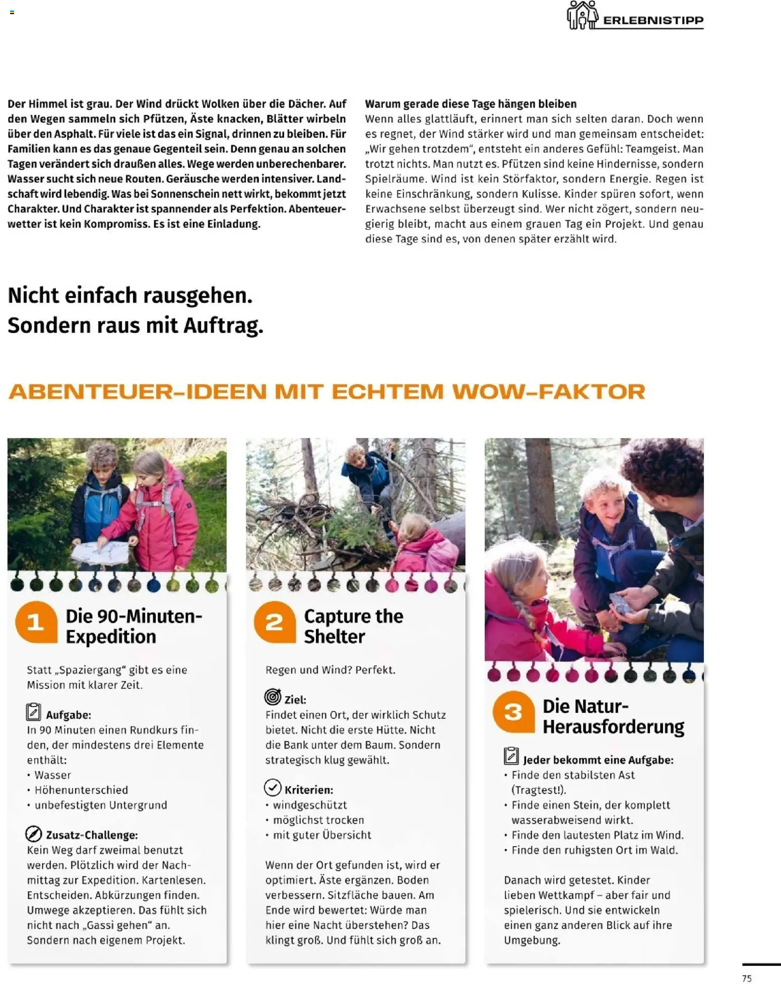 Sport2000 Prospekt – gültig ab 03.09.2026 | Seite: 75
