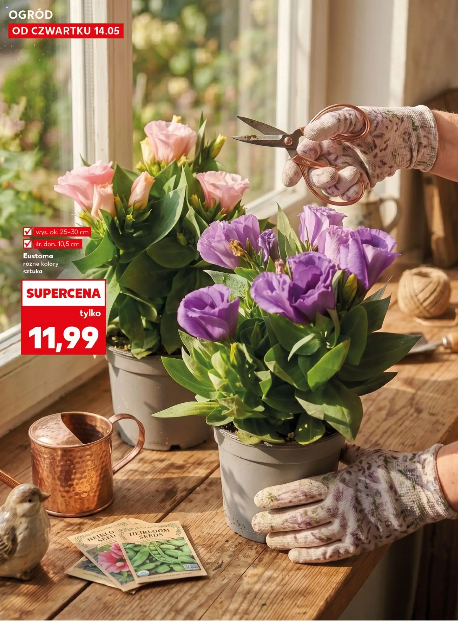 Kaufland Polsko leták - Wiosenne inspiracje od 14.05.2026 | Strana: 10