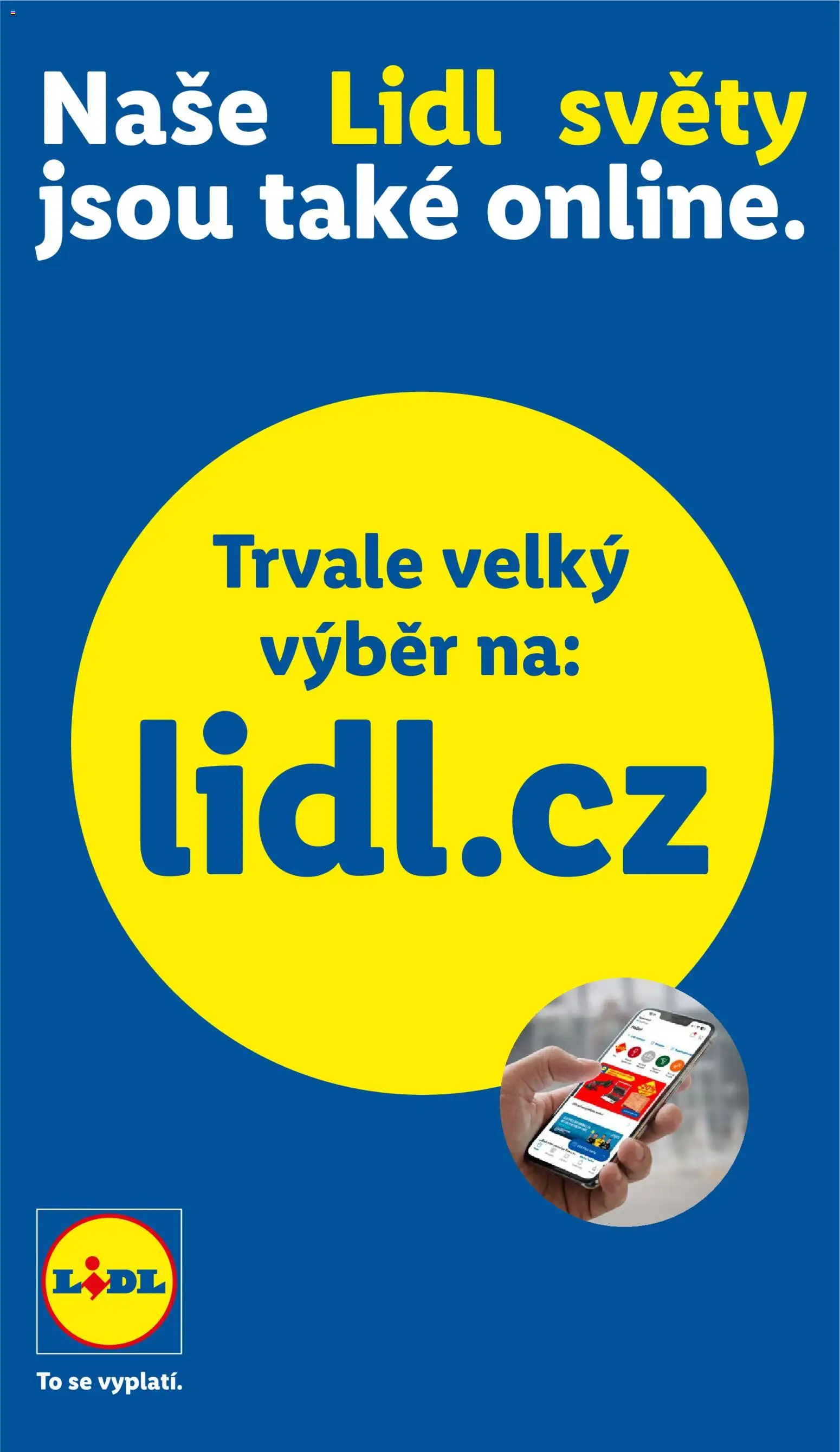 Lidl leták - Spotřební zboží od 01.06.2026 | Strana: 3