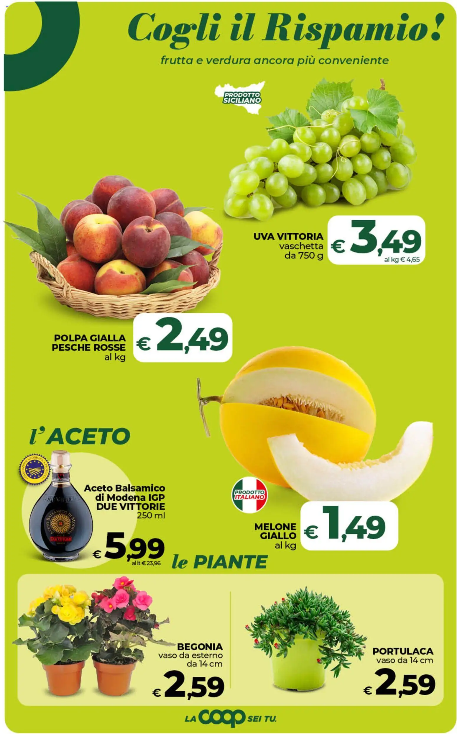 Volantino COOP del 18.06.2026 | Pagina: 15 | Prodotti: Frutta, Uva, Aceto, Vaso