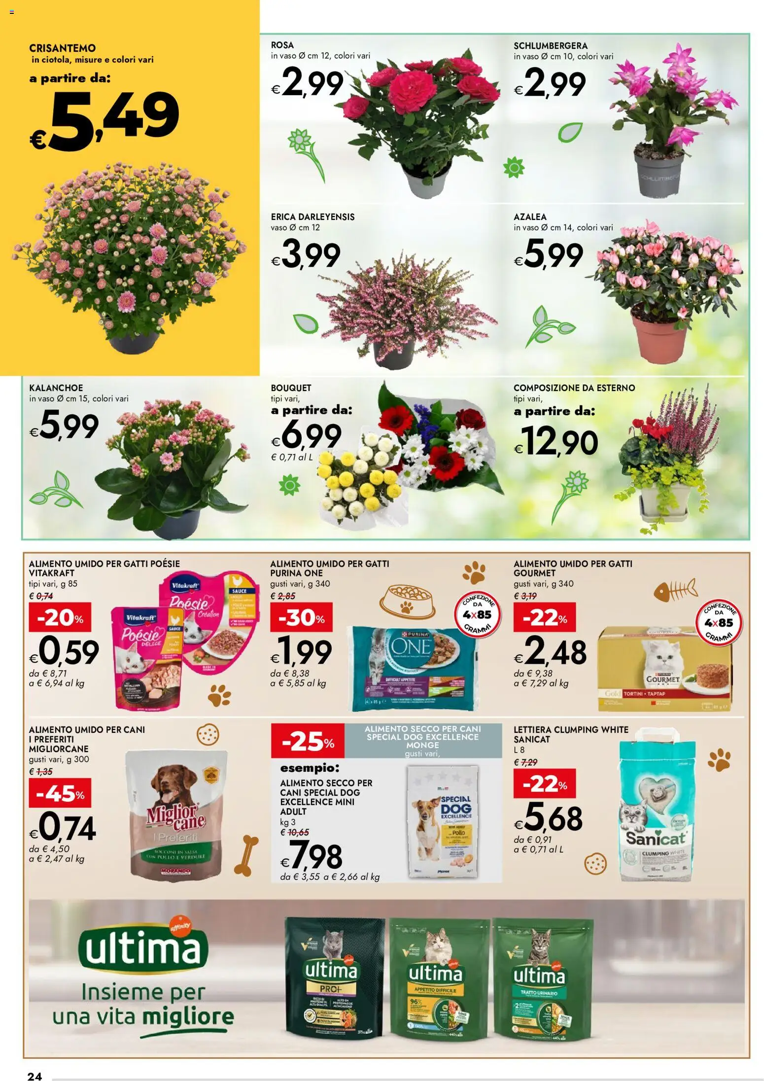 Volantino bennet del 22/10/2026 | Pagina: 24 | Prodotti: Pollo, Verdure, Erica, Vaso