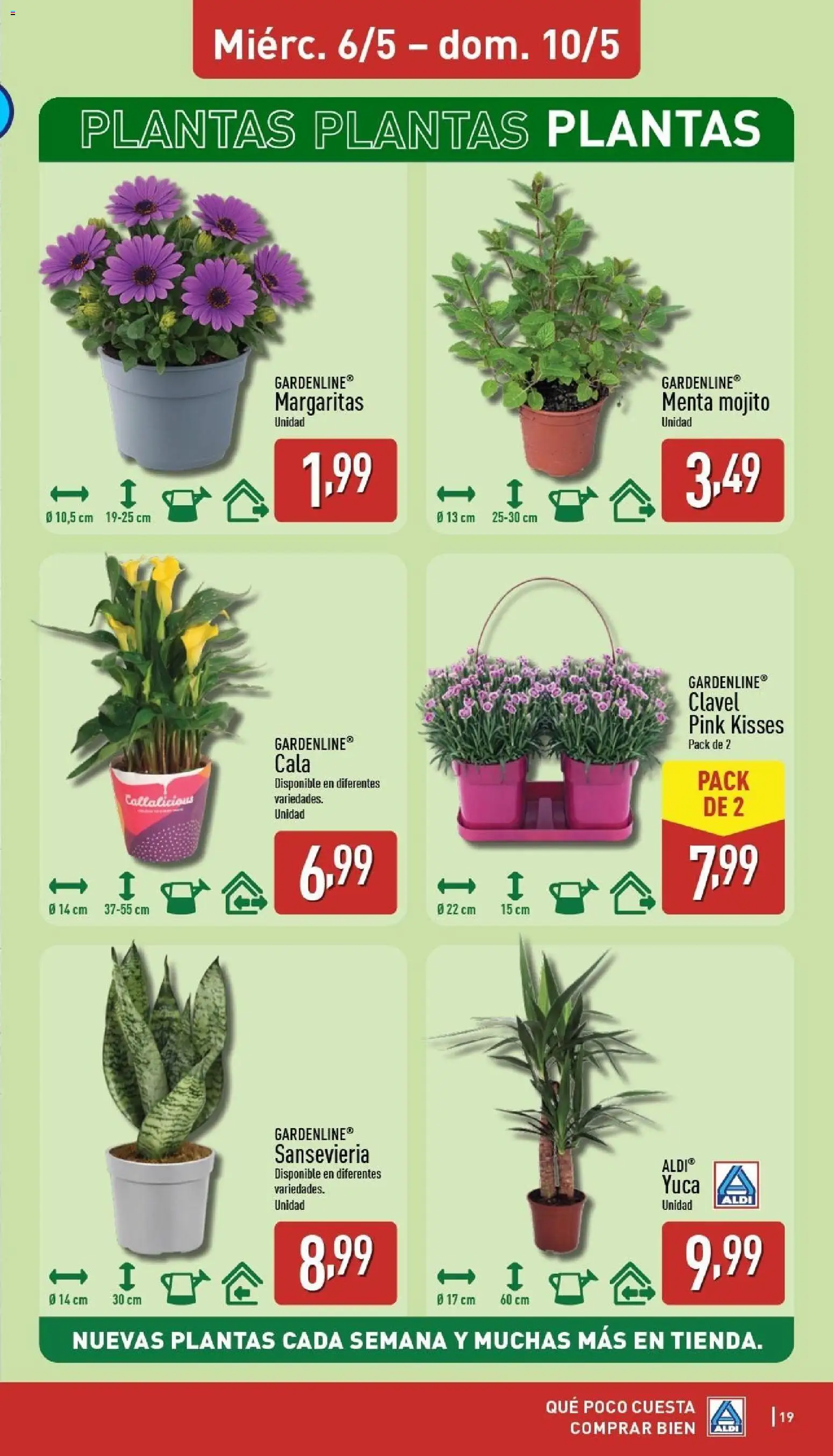 Aldi folleto Península │ válido desde el 04.05.2026 | Página: 19
