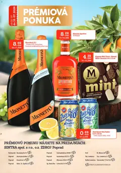 Sintra leták platný od 02.07.2026 | Strana: 29
