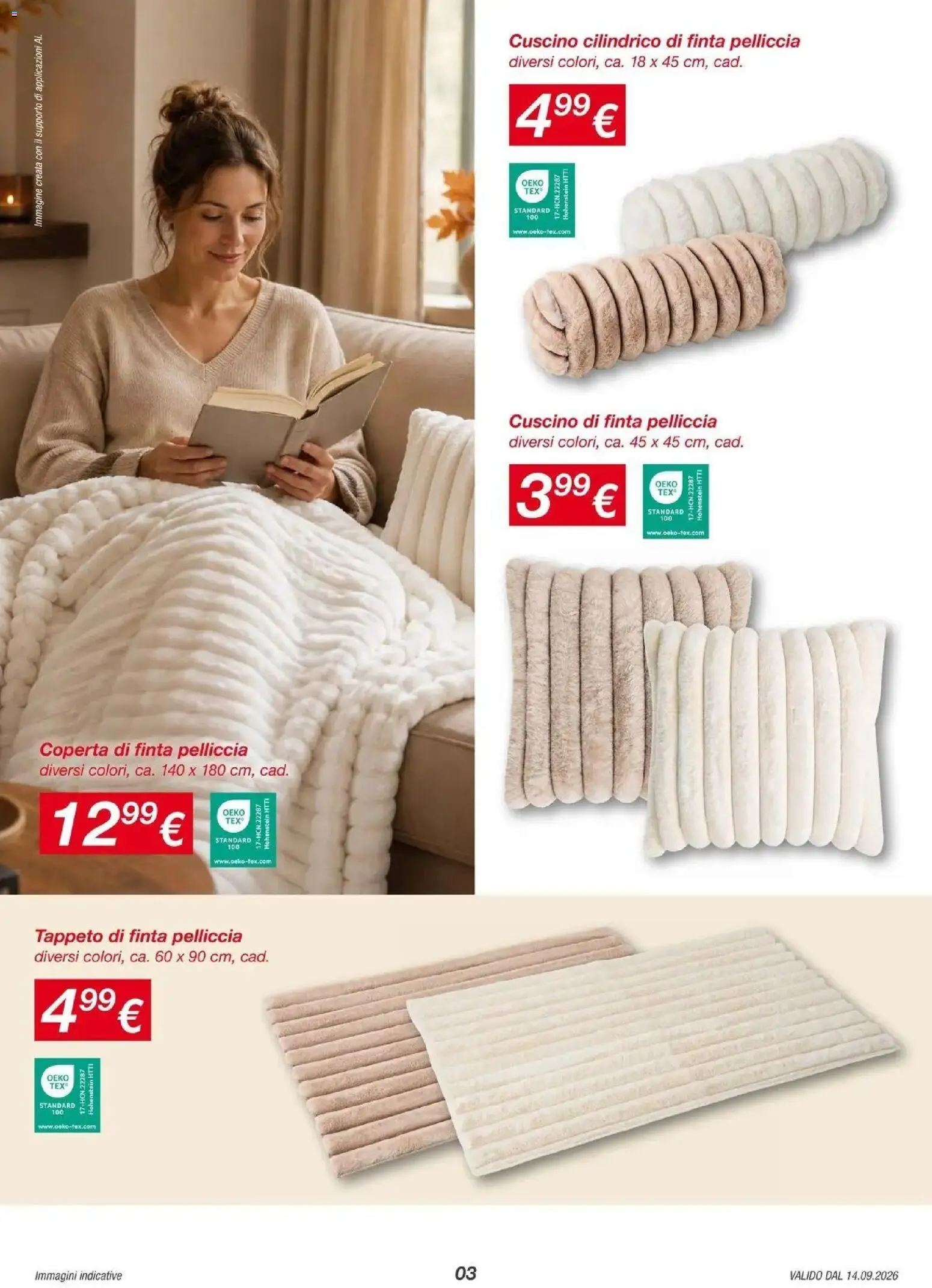 Nuovo KiK volantino Feltre (Bl) dal 11/09/2026 > offerte anteprima 🛍️ | Pagina: 3 | Prodotti: Cuscino, Coperta, Tappeto